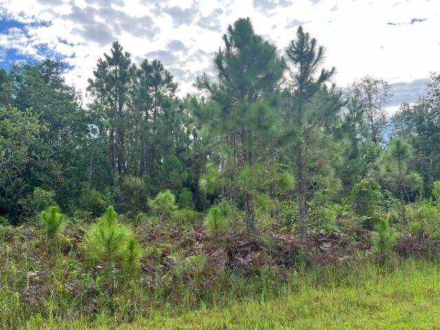 Much desired Leisure Lakes property on canal with direct access to Lake Carrie and Lake June !
