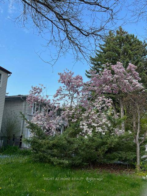 Wedgewood Park Beauty overlooking the Wedgewood Park tennis courts !