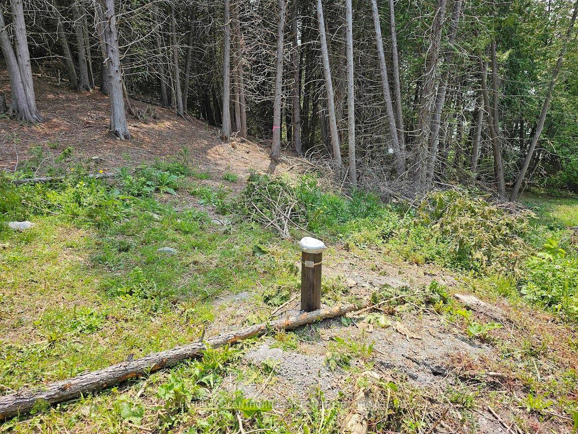 Tranquil township approved, waterfront building lot on south Beaver Lake is surveyed and has drilled well.