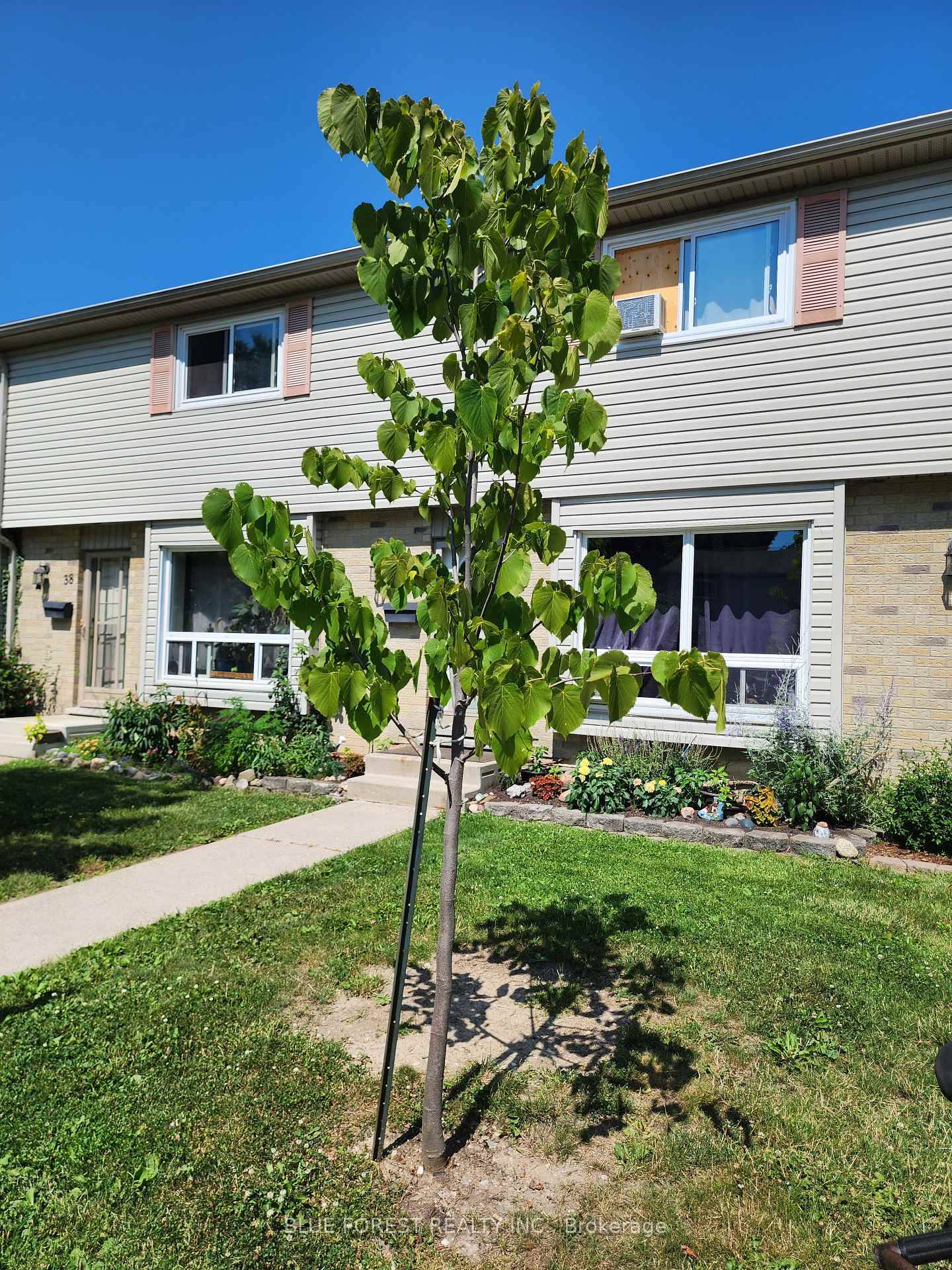 Affordable south London townhouse condo located in quiet complex, backing to nice quiet, sheltered green area with rear patio.