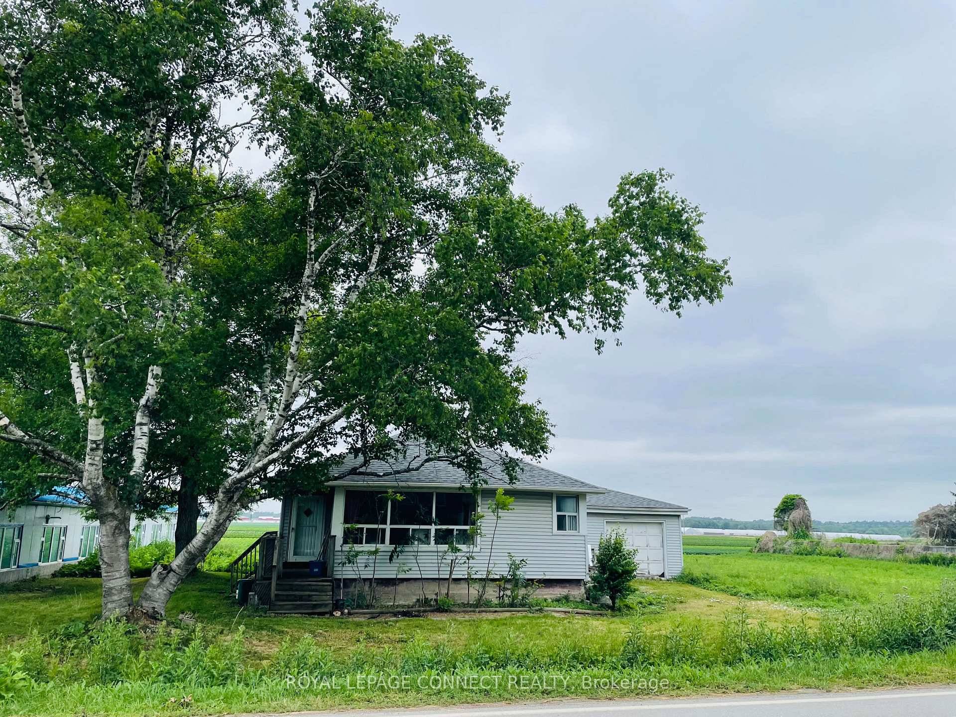3 bedroom with 1 washroom farm house siting in the country lot flat land.