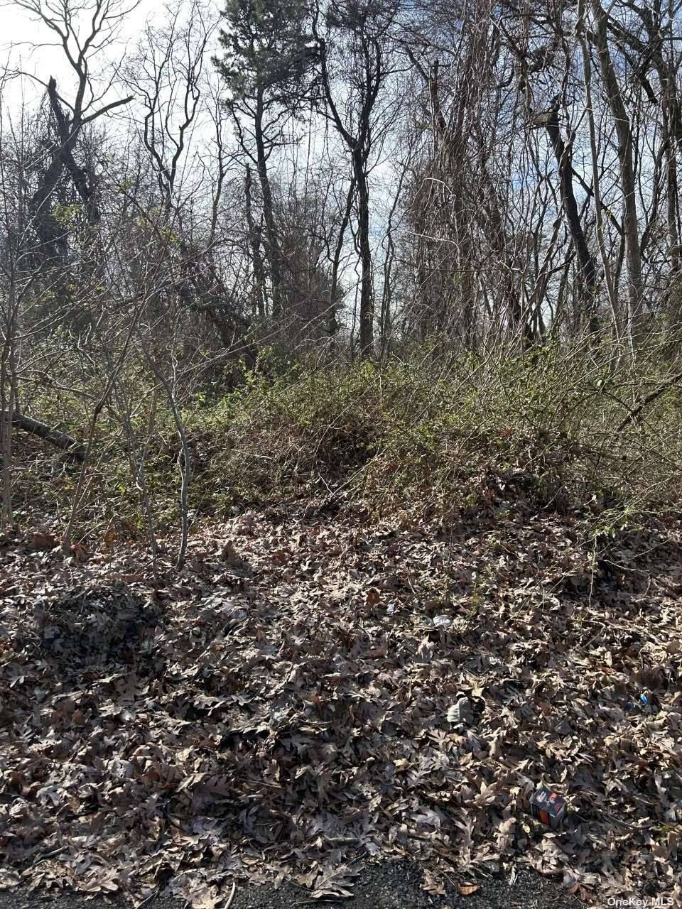 Vacant 100 x 60 Land to Build a Dream Home.