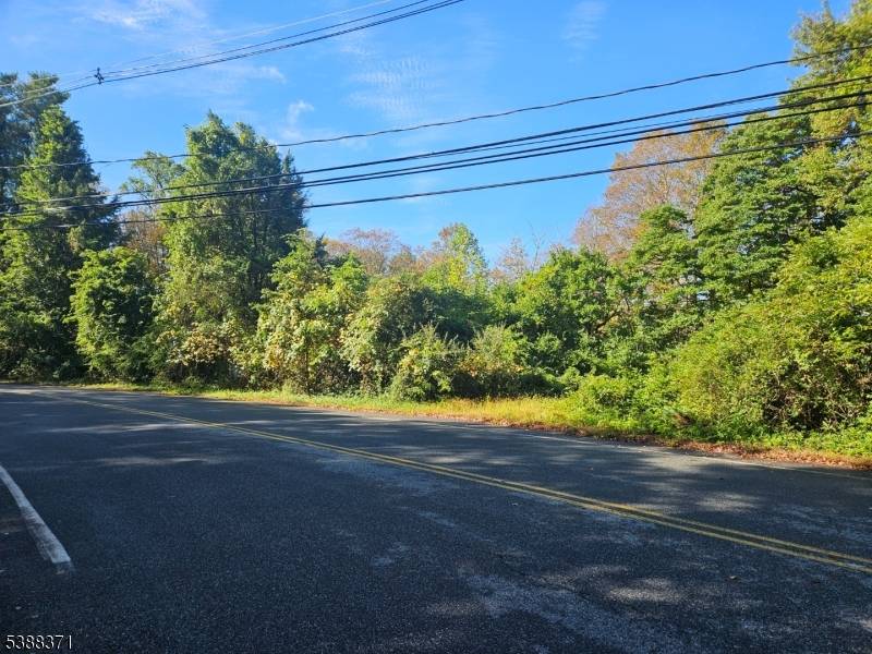 Beautiful tree lined property among million dollar homes !