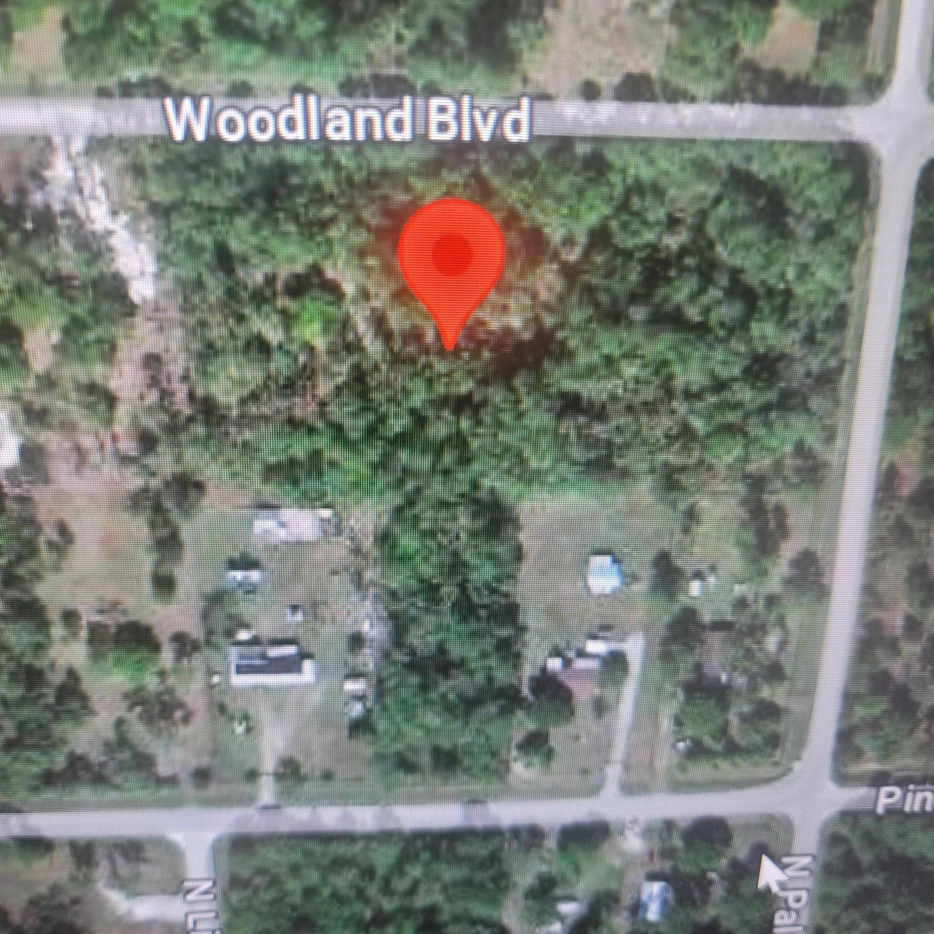 724 Woodland Boulevard Land Palm Beach