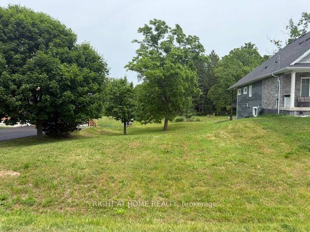 Build Your Dream Home on a Rare 60x200 Lot Backing onto Forest !