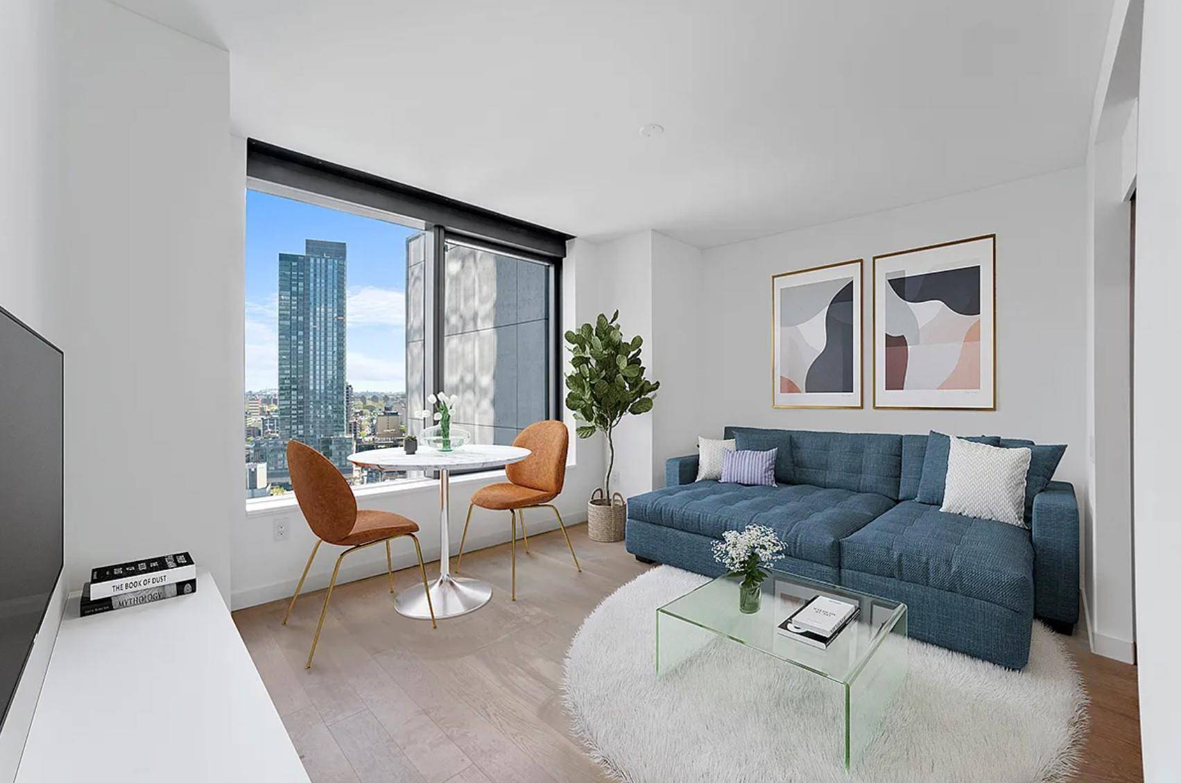 A Beautiful Studio in Skyline Tower in LIC !