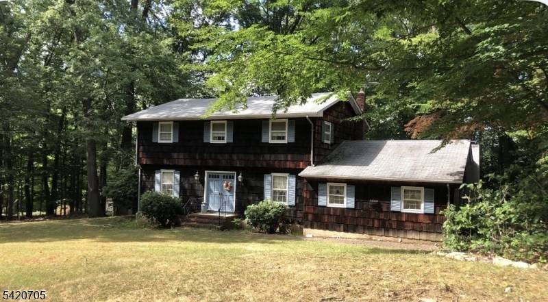 PROFESSIONAL PHOTOS COMING SOON !