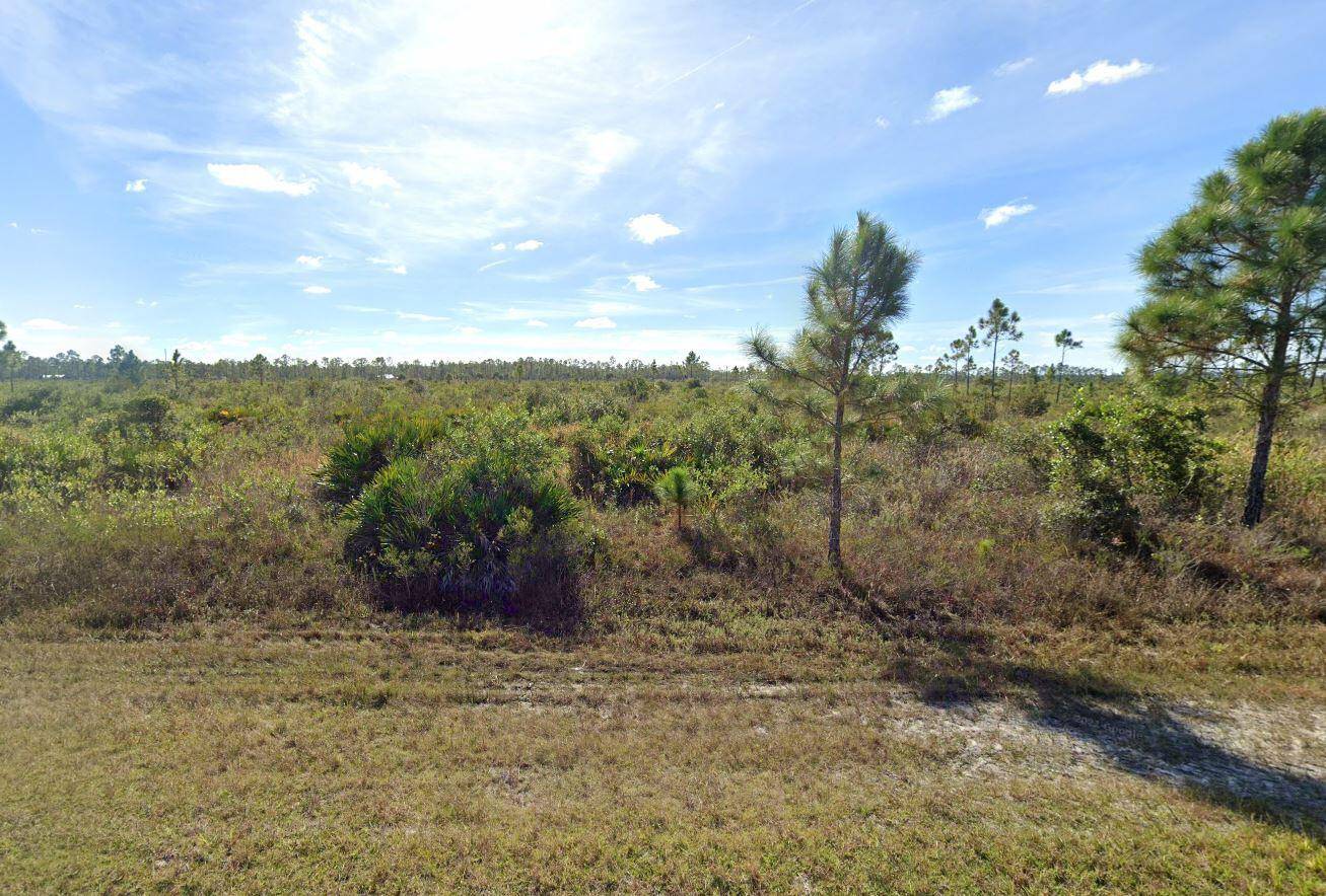 Affordable Florida Land in Indian Lake Estates !
