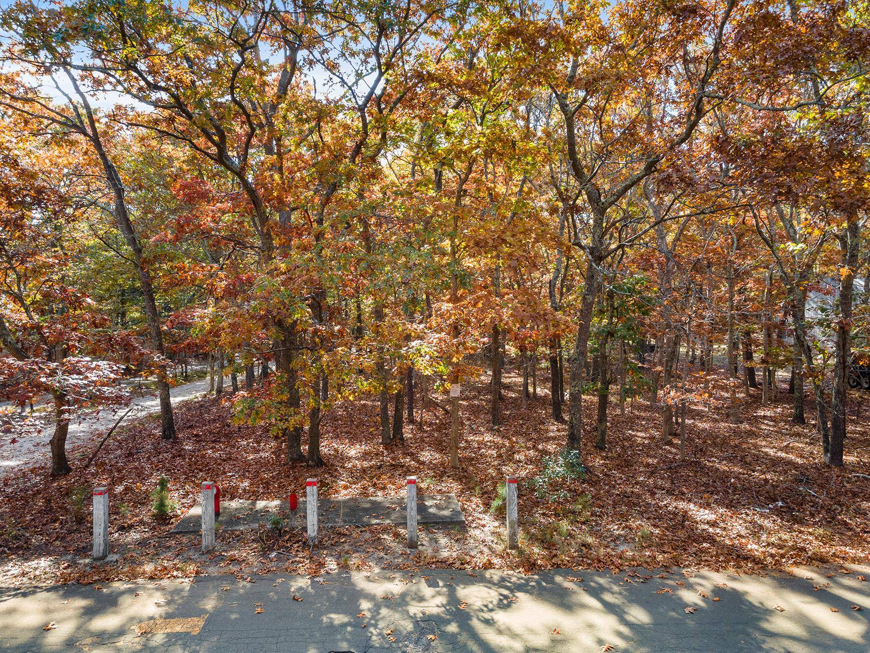 An exceptional offering in East Hampton Township, just moments from the village center, this land parcel presents a rare opportunity for builders seeking value and upside in one of the ...