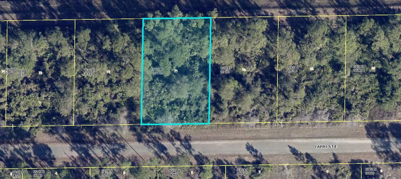 BUILD YOUR HOME ON THIS. 23 ACRE CANAL LOT WITH NEIGBORING HOMES NEARBY.