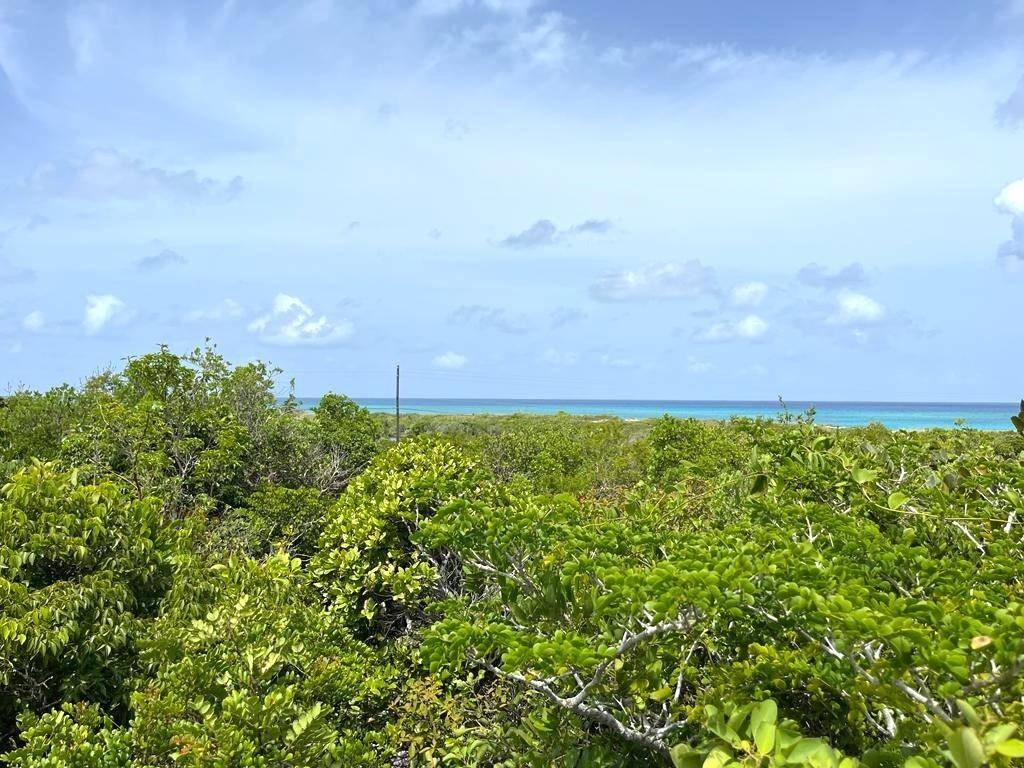 COLUMBUS LANDINGS Land San-Salvador