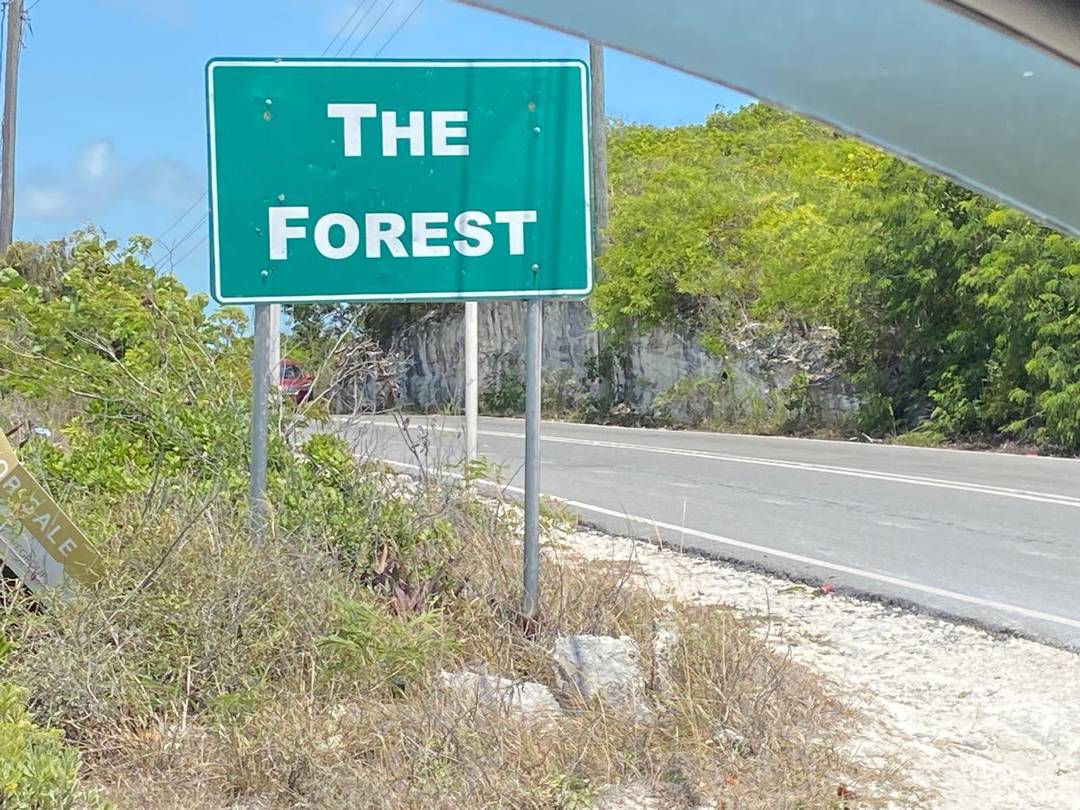 LOT 4985 DATE PALM ROAD Land Exuma-And-Exuma-Cays