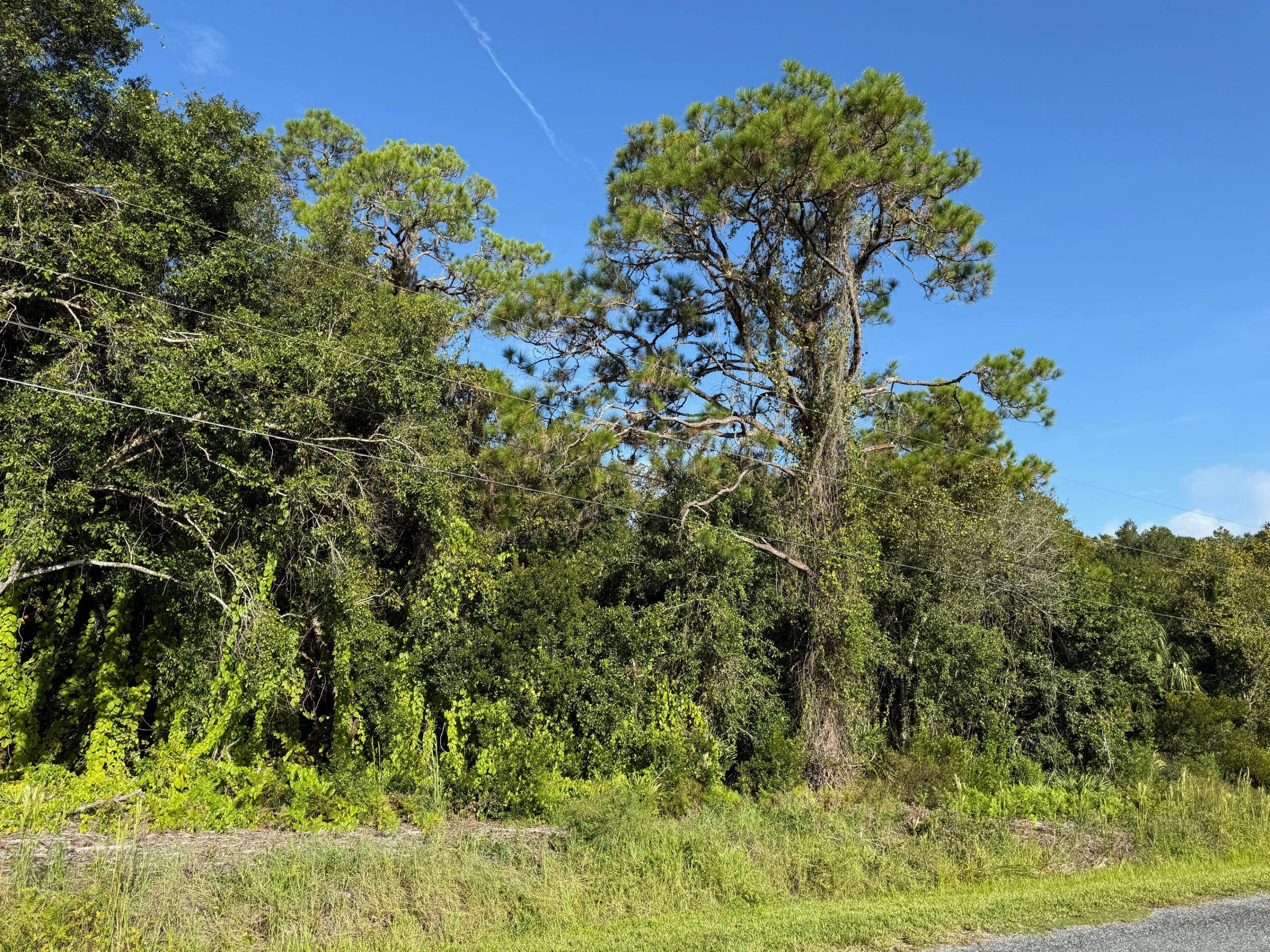 Beautiful wooded lot live in peace and quiet in a rural setting with 1.