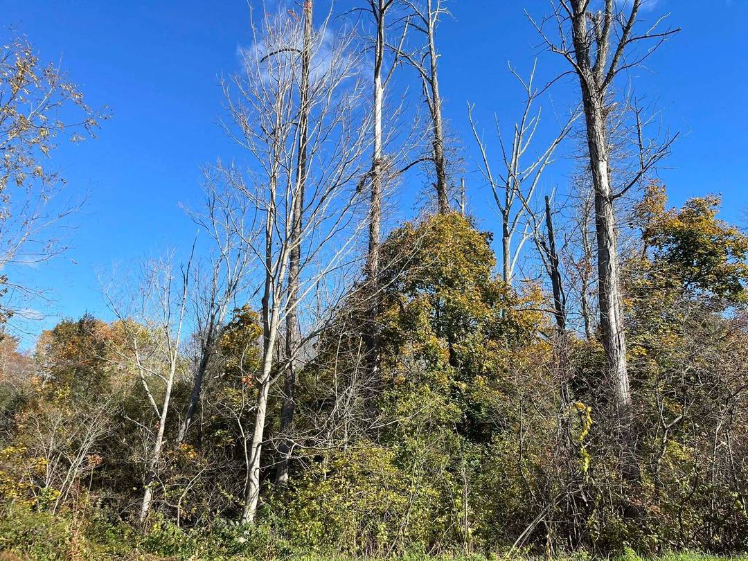 This property spans 2 towns Barkhamsted and New Hartford.