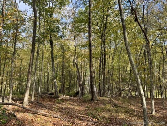 Build your dream on this designated Scenic Road abutting spectacular land trust trails.