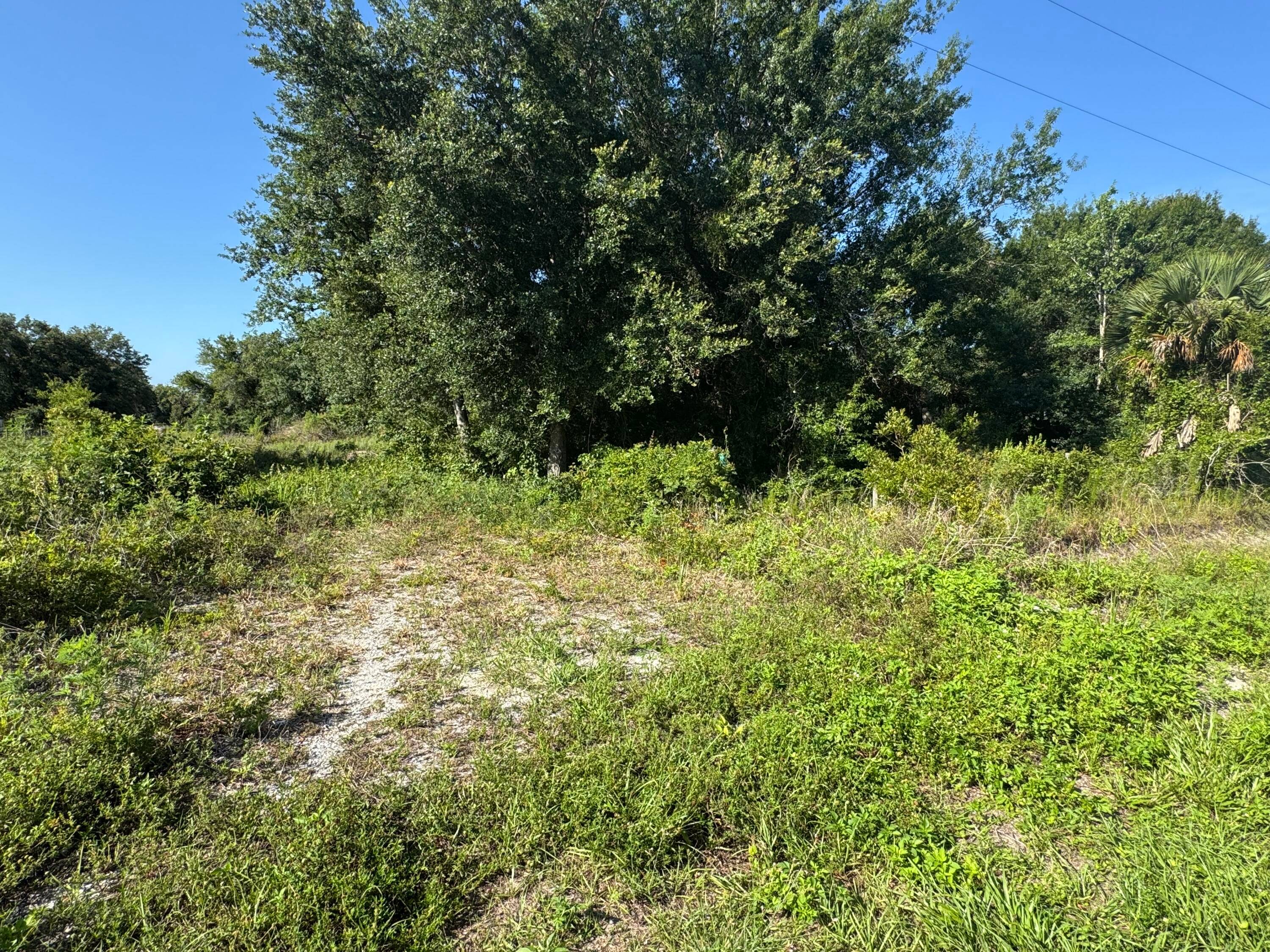 Buildable 2. 5 Acre Lot in NW Okeechobee Viking SubdivisionDiscover the perfect blend of natural Florida beauty and rural freedom on this 2.