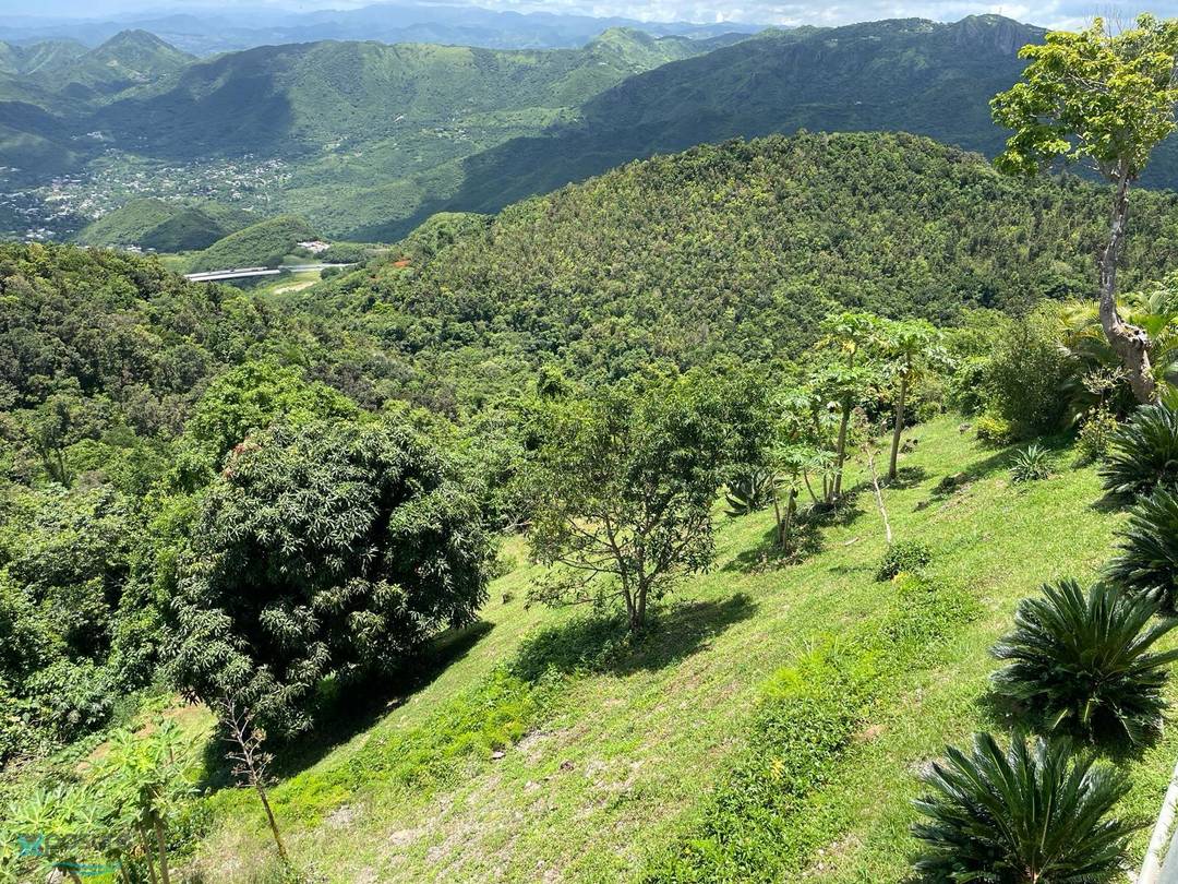 BARRIO CERCADILLO Land Cayey