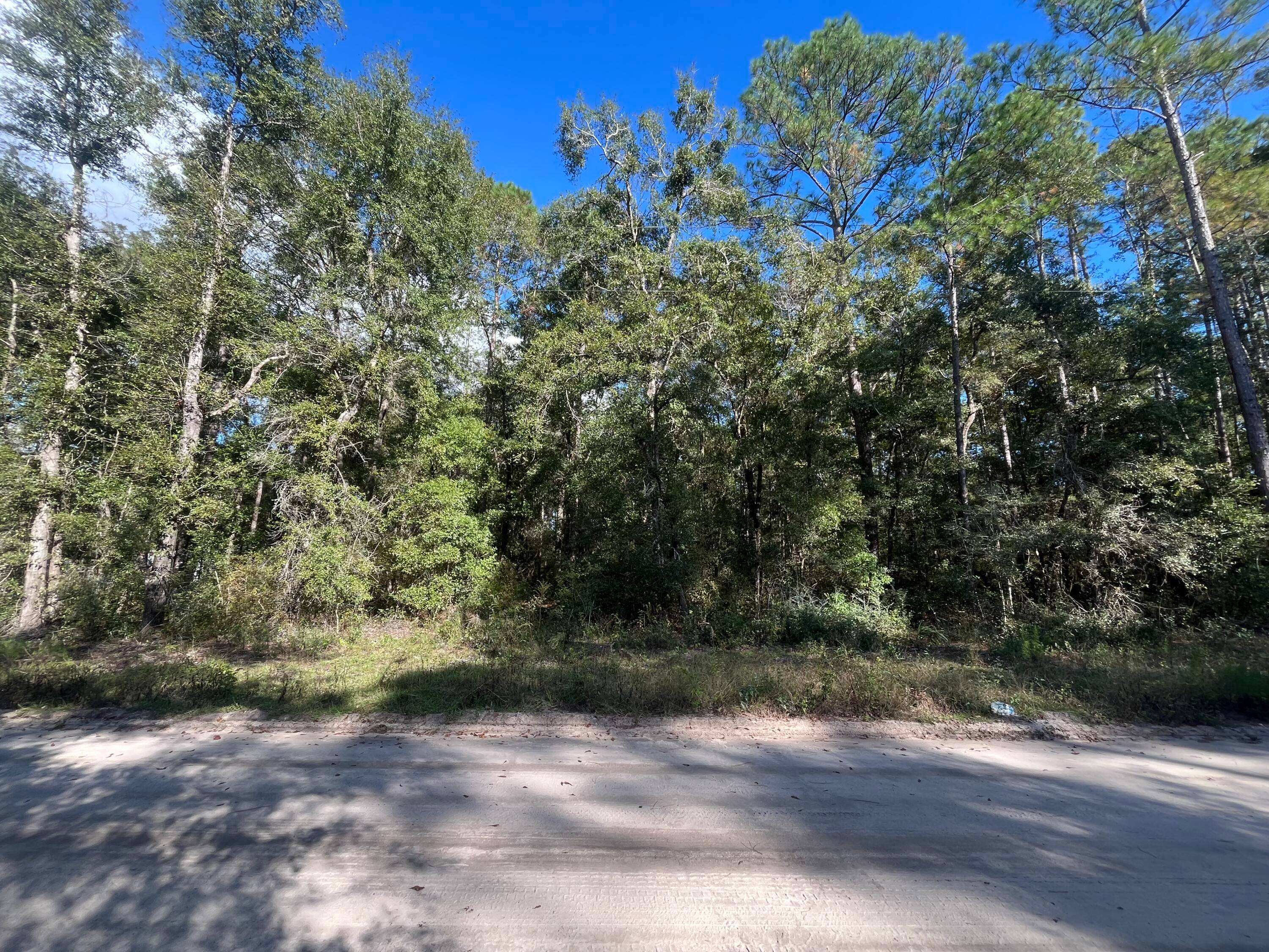 Build or bring your dream home on this beautiful 2.