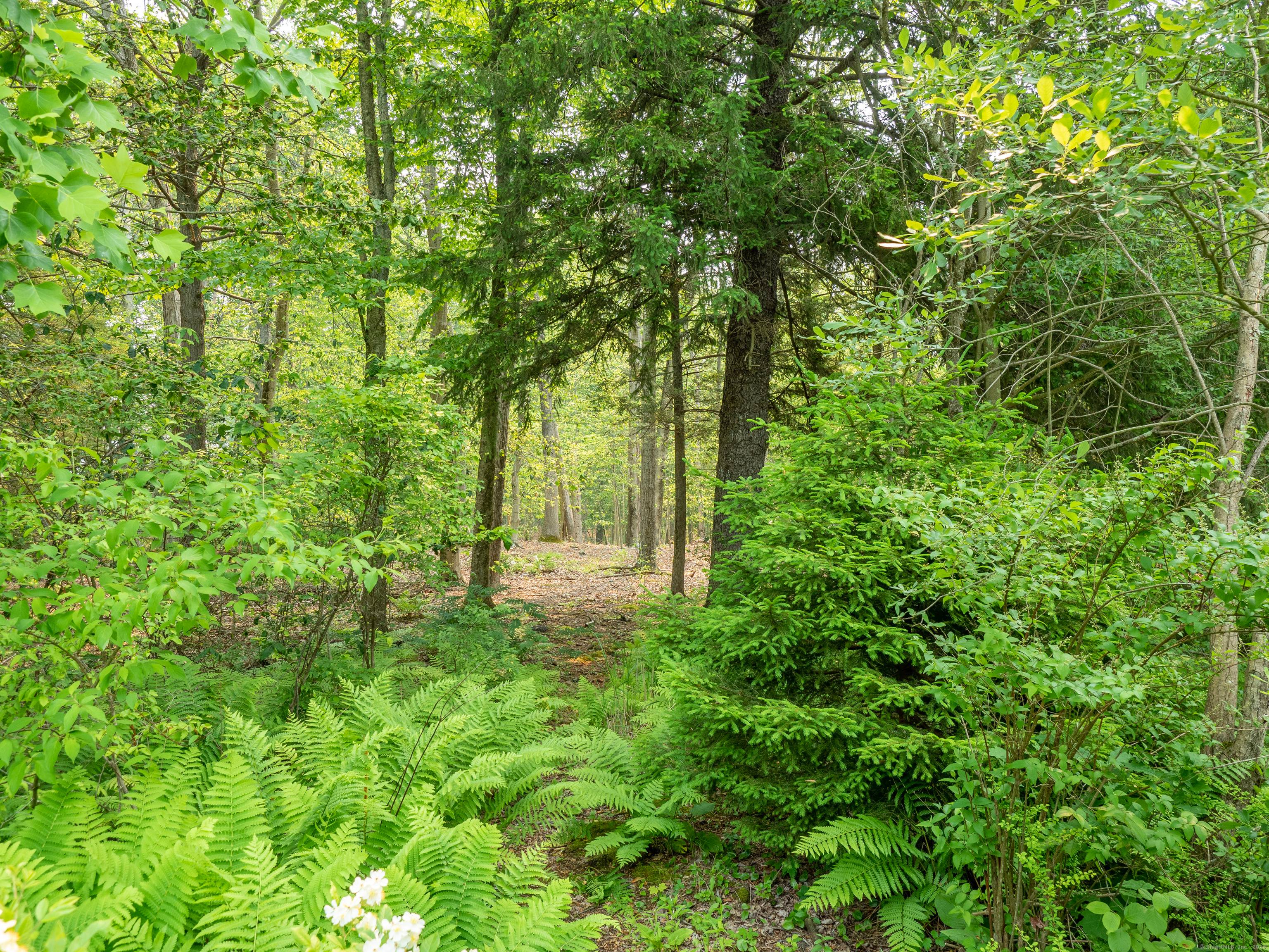 Location ! Location ! Approved building lot on 3.