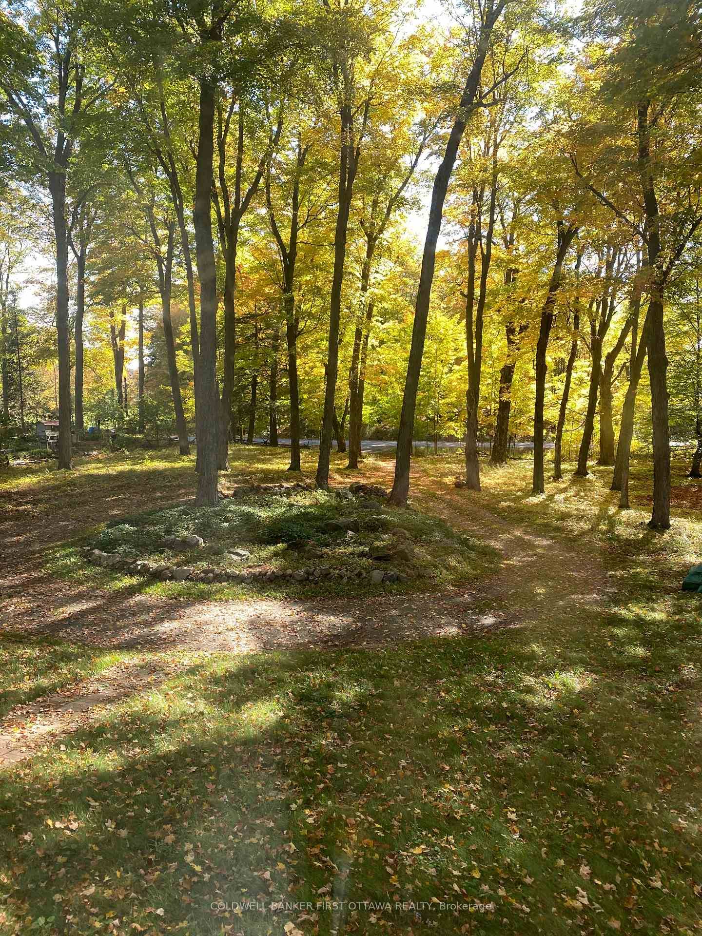 Spacious family home with good bones on lovely treed 0.