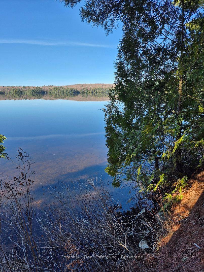 Prime waterfront lot alert !