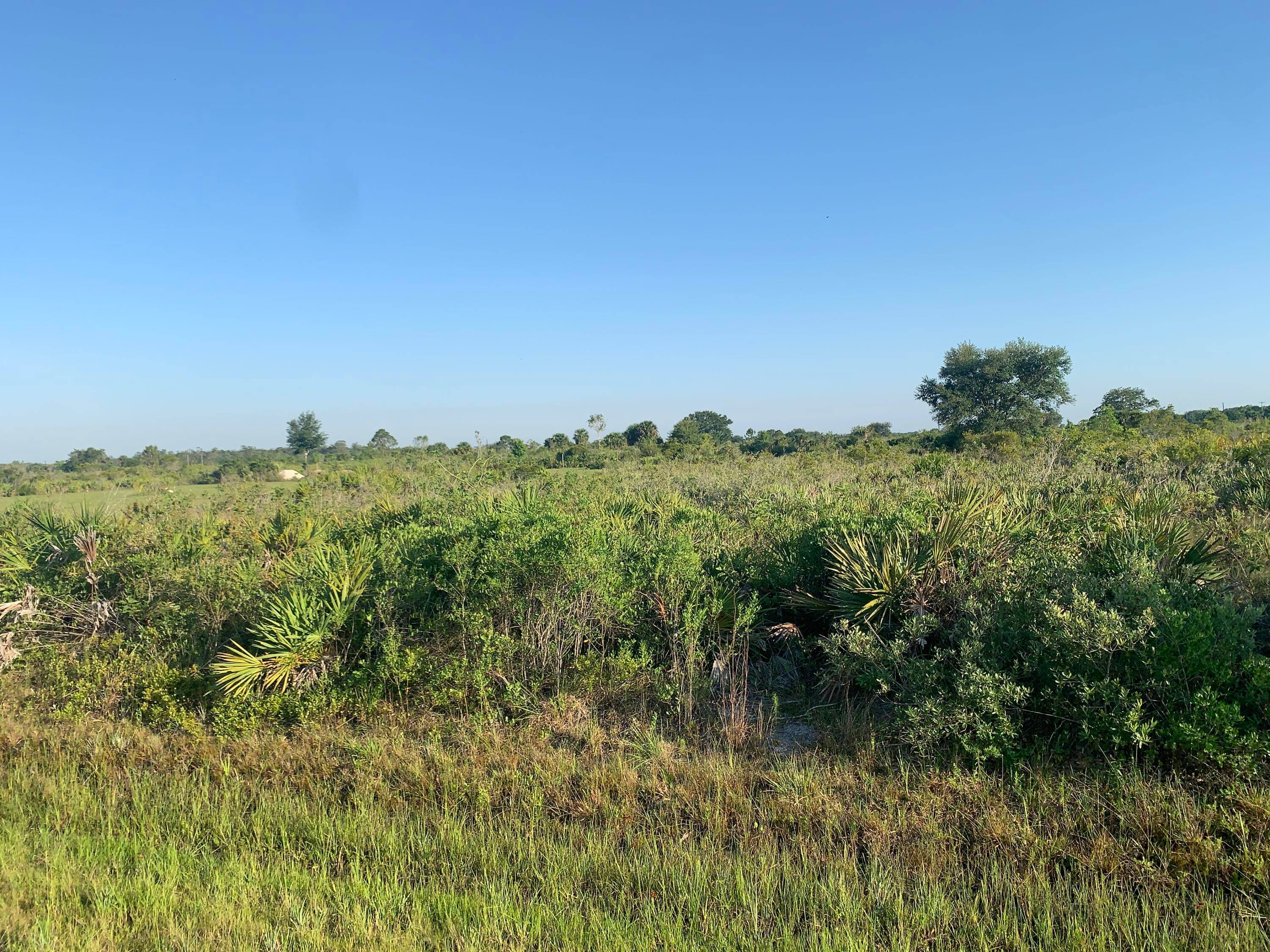 Thinking about living in Okeechobee, South Florida ?