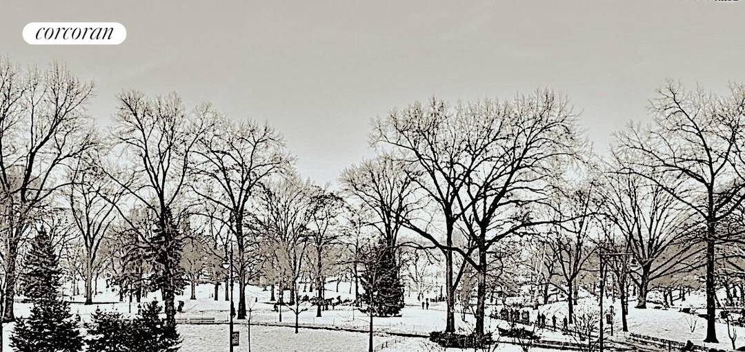 The Ultimate Canvas on Central Park South.