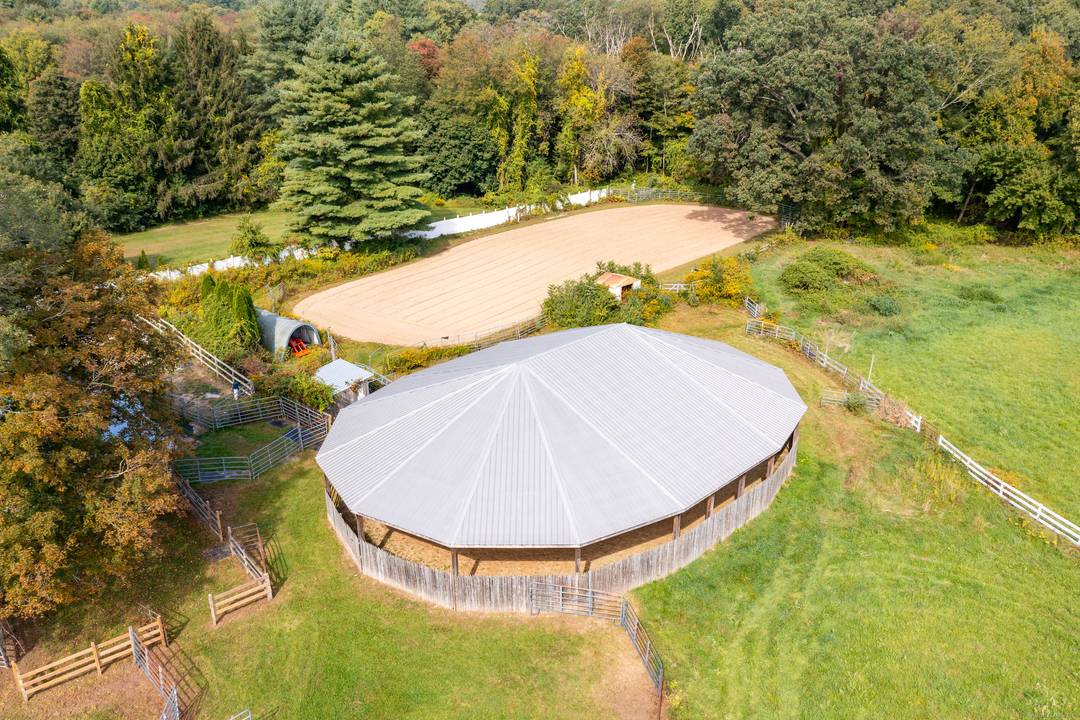 Ever dreamed of having your horses at home ?