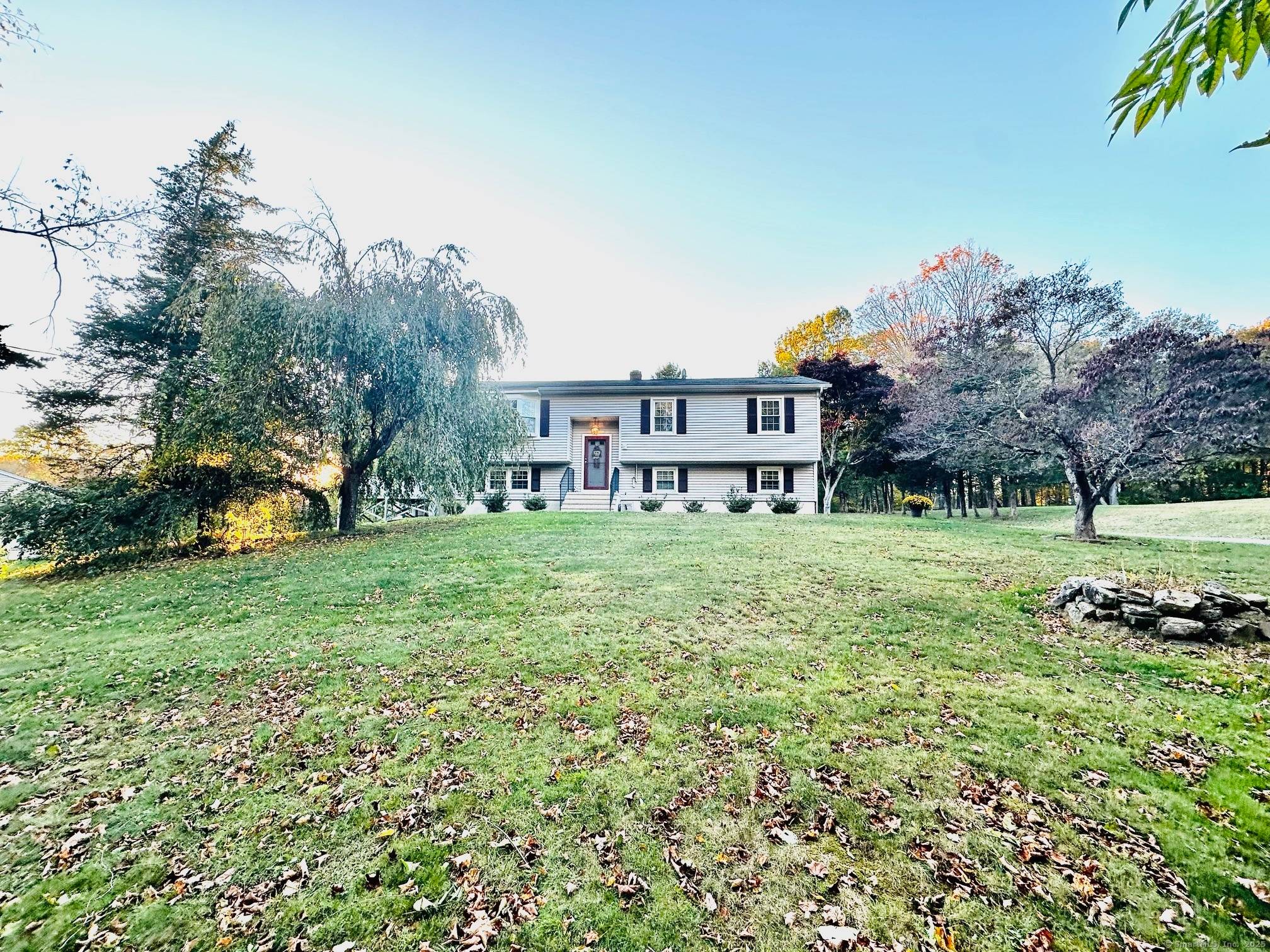 Move In Ready Raised Ranch in Desirable Prospect !