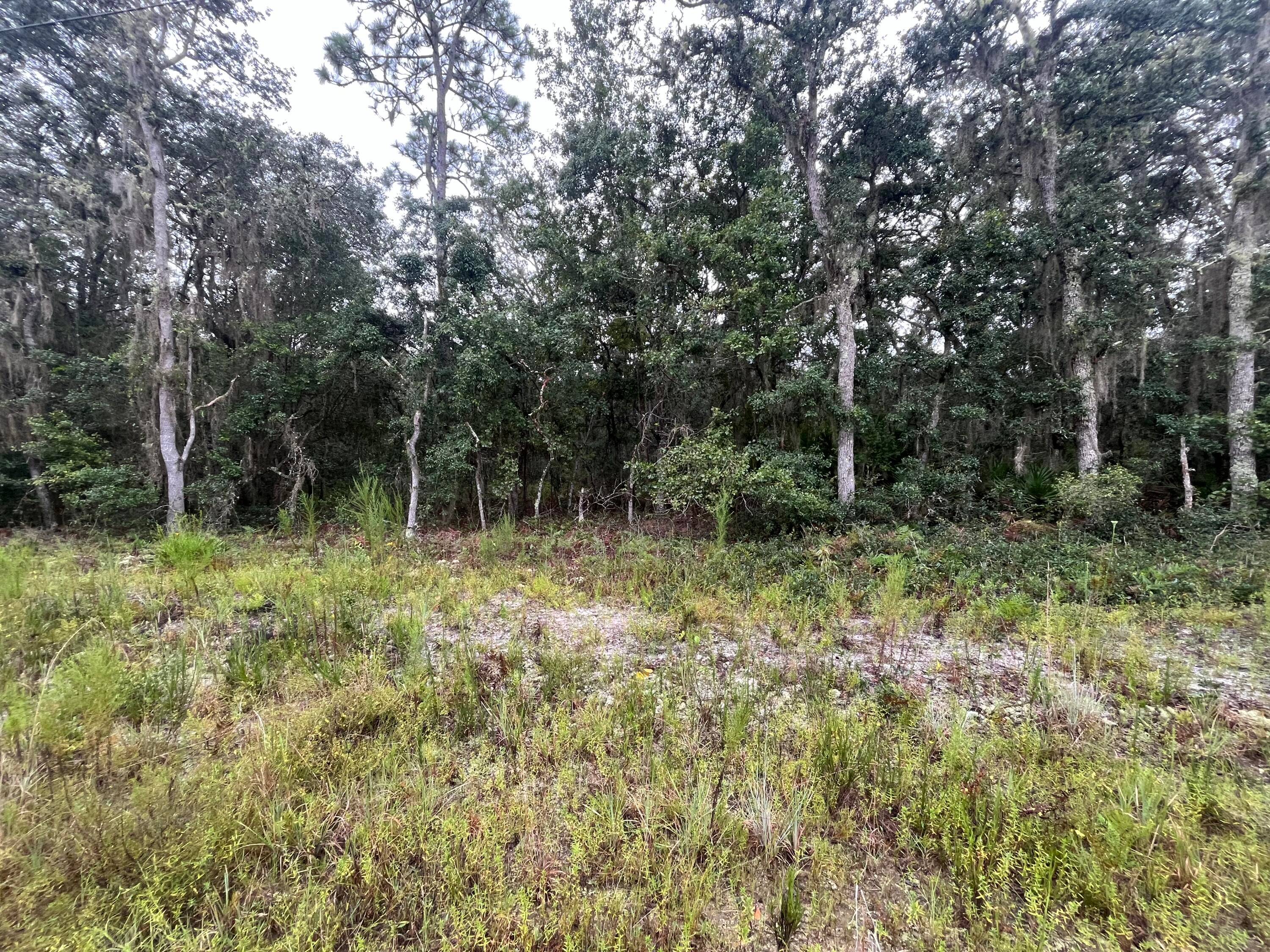 Build or bring your mobile home to this stunning lot in the growing city of Interlachen.