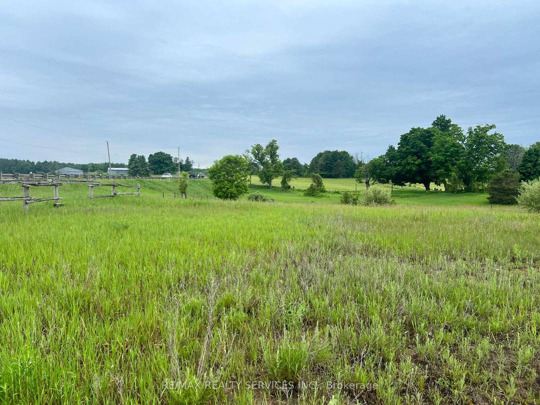 Exceptional Opportunity 13.