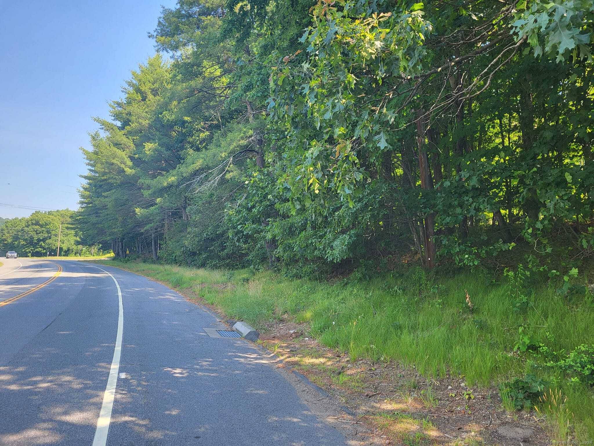 Developer wanted ! 85. 98 acres with 2, 313' of road frontage is 30 seconds from I 84 exit 70.