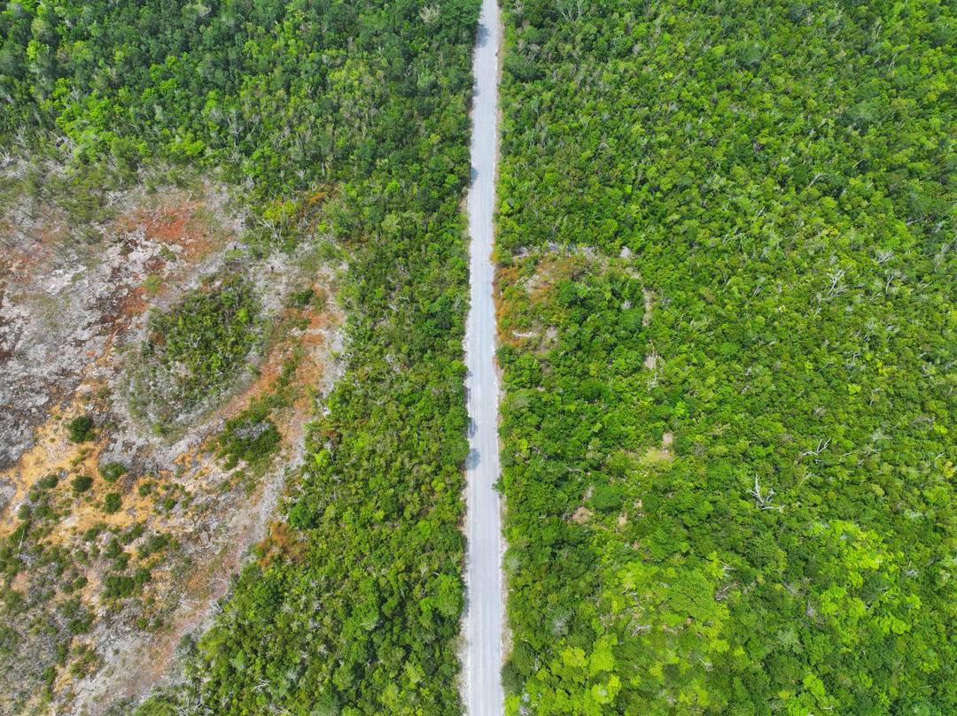 LOT 12 TURTLE COVE Land Abaco