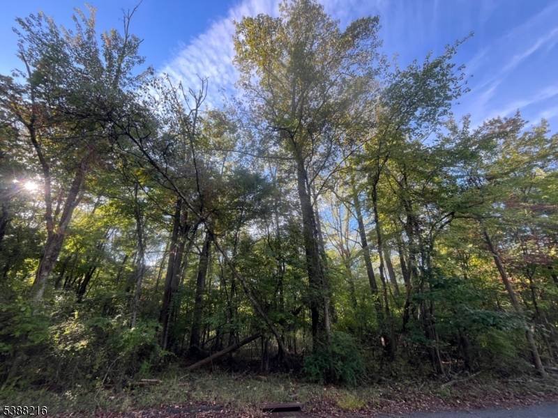 Elm Ave Warren Twp. New Jersey