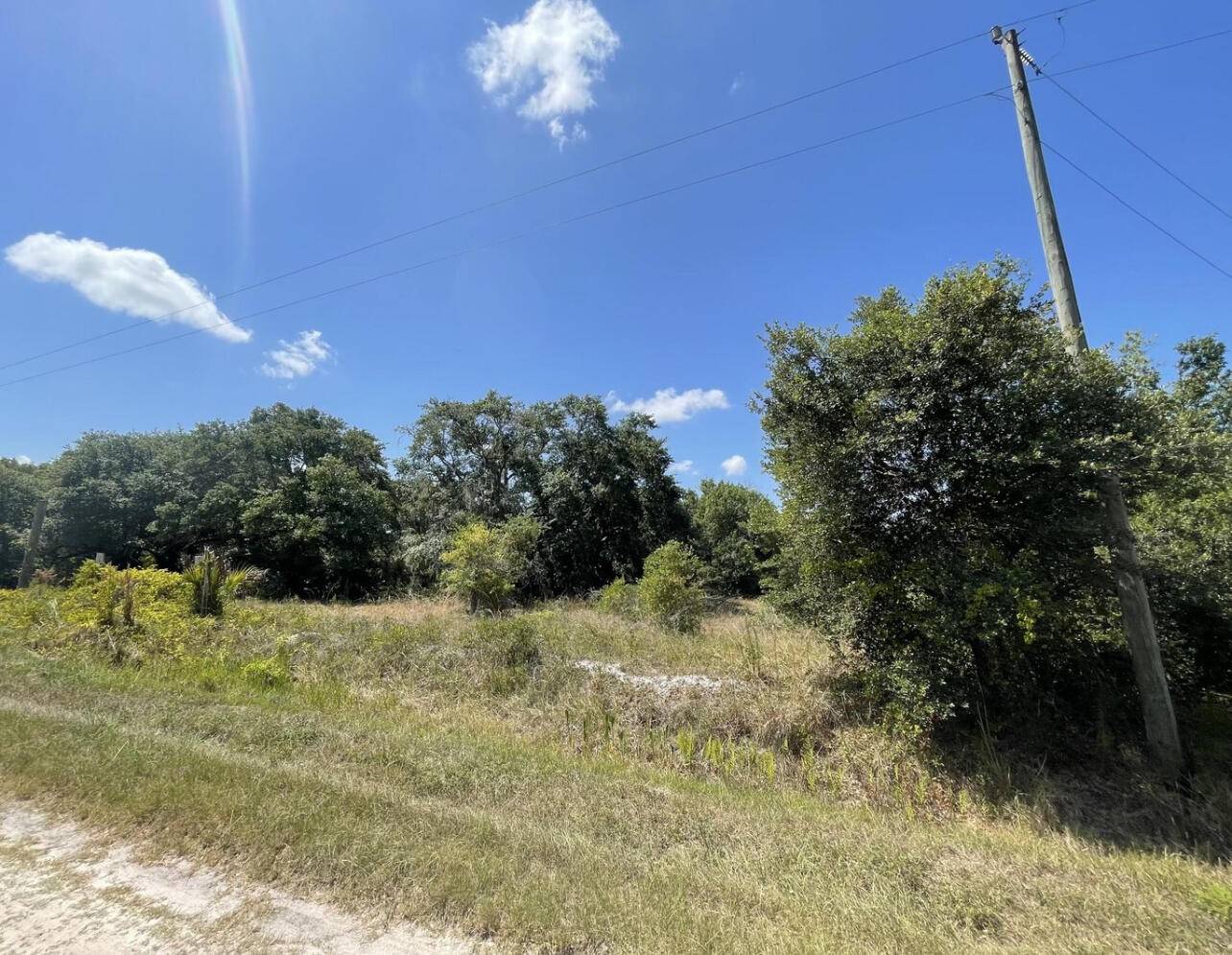 The Viking 1. 25 acres of mostly cleared land with mature oak trees.