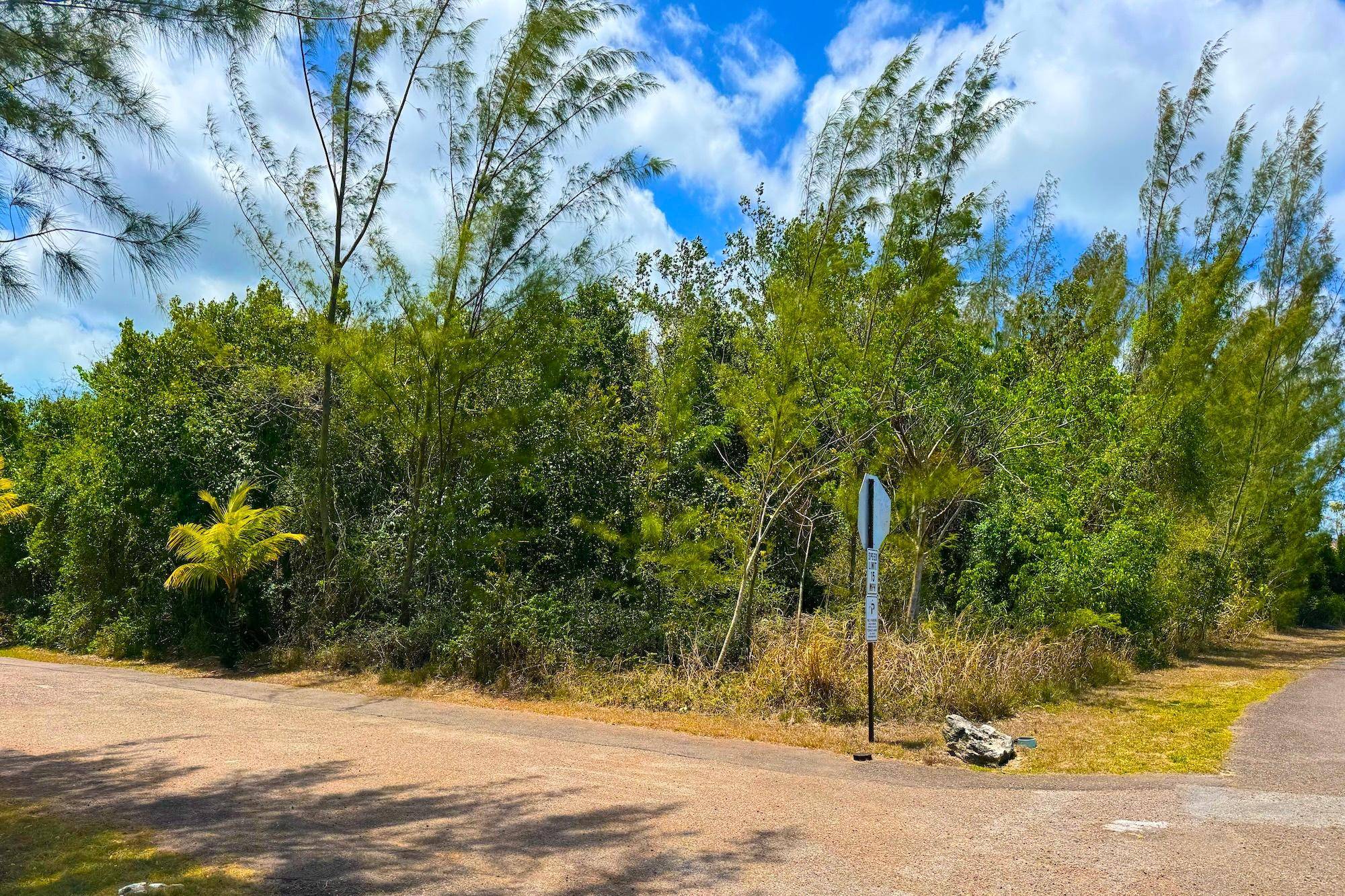 JACARANDA LOT Land New-Providence