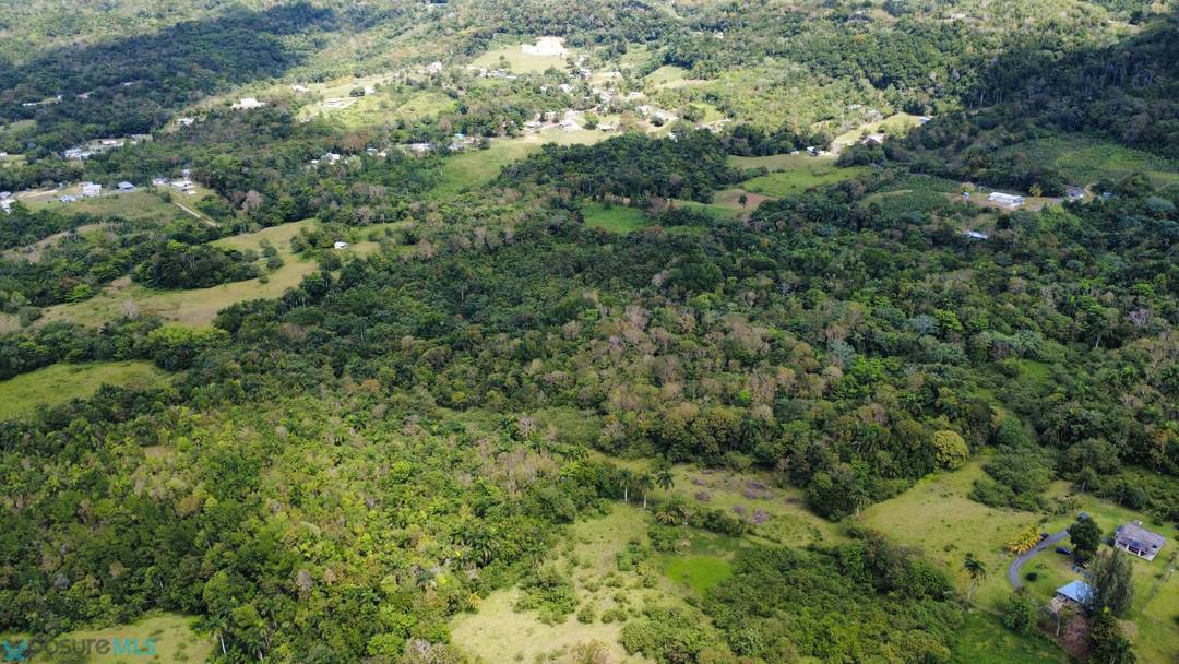 CARR. 4446 CAM. TRUJILLO, BO. SALTOS 1, SAN SEBASTIÁN PR 00685 Land San-Sebastian