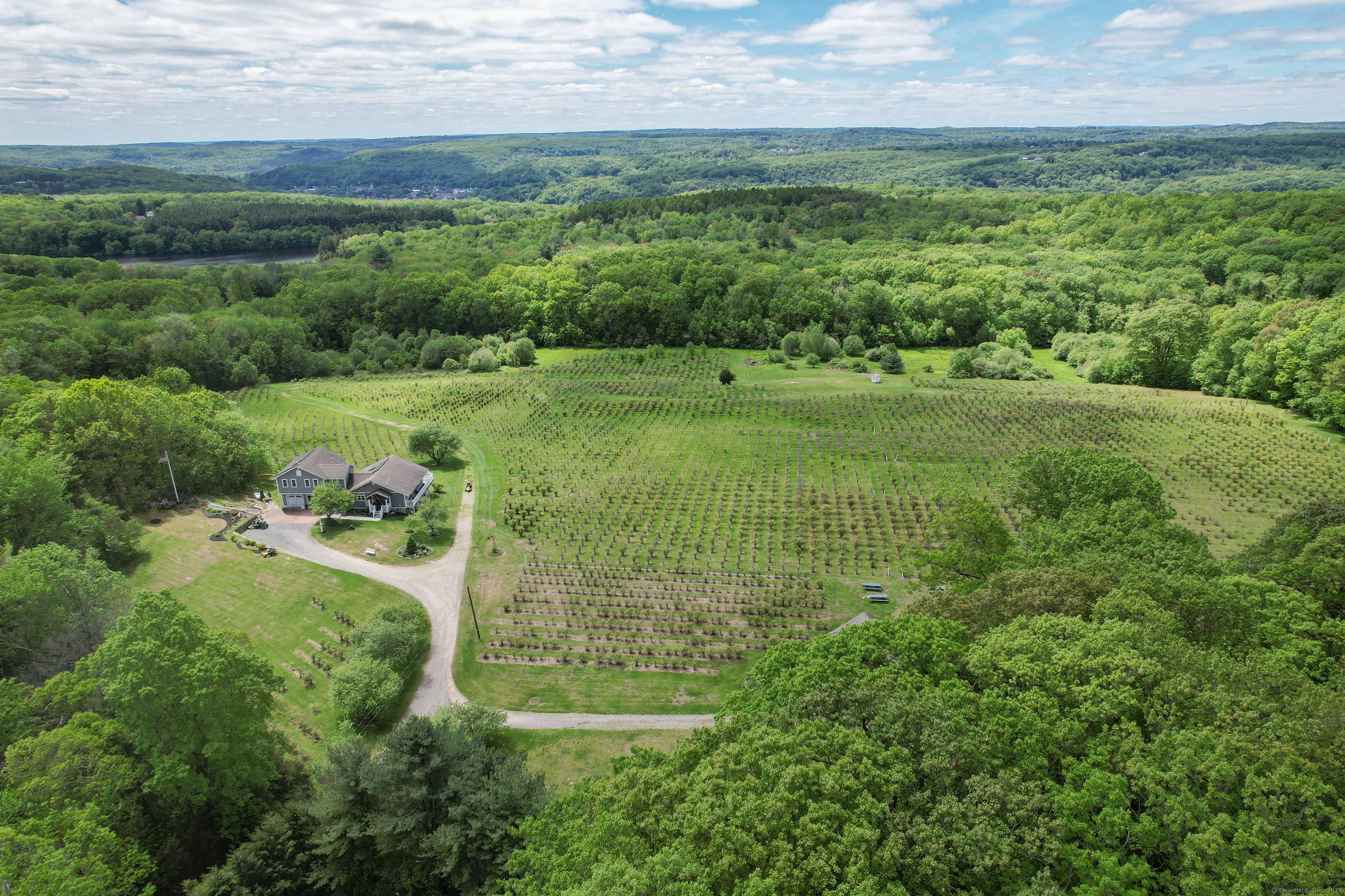 Investor Alert Turn key Agricultural Investment 25 Acres with Income Producing Blueberry Farm 3BR 2.