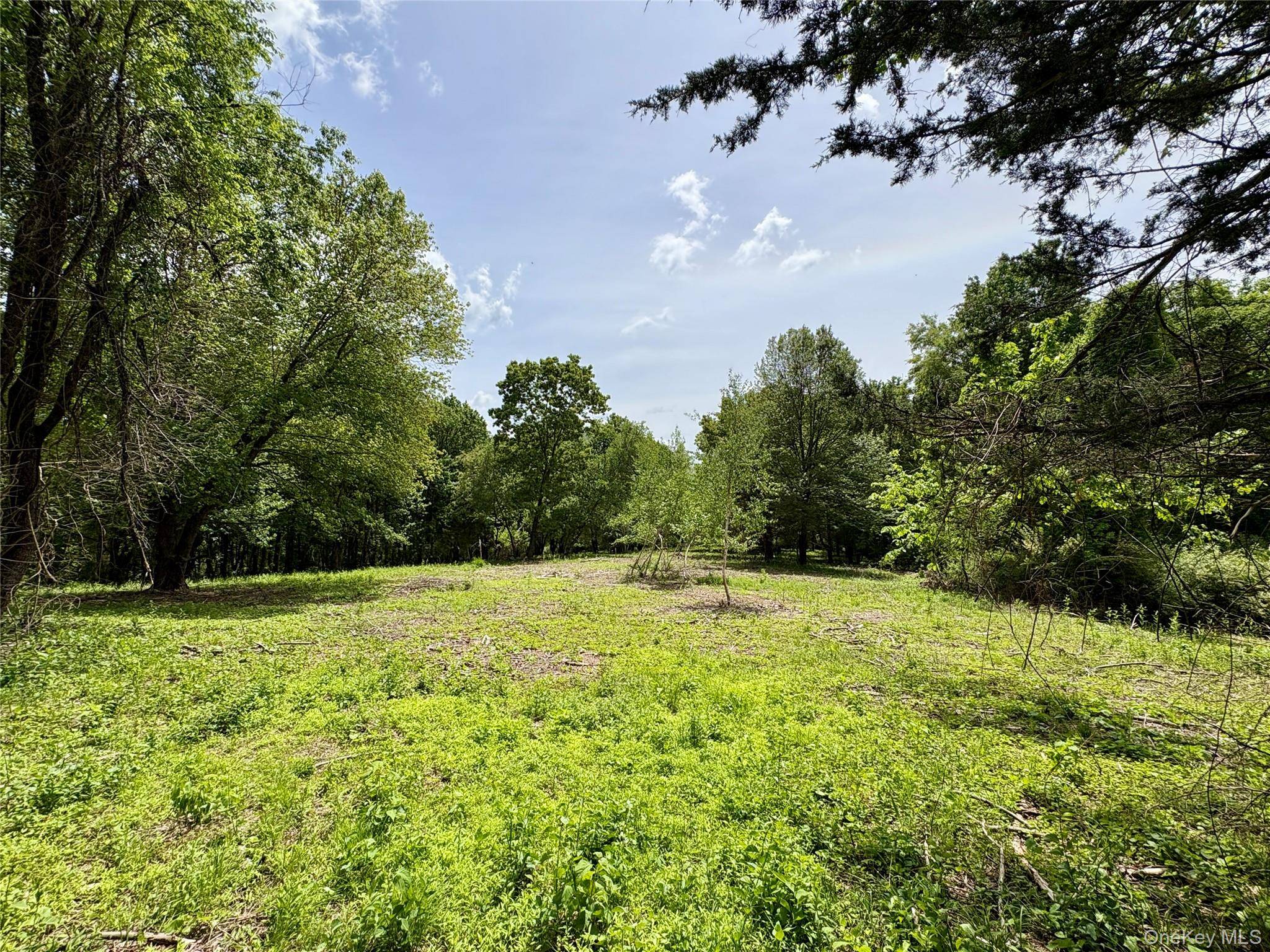 40 acres with additional acreage available to accommodate your vision.