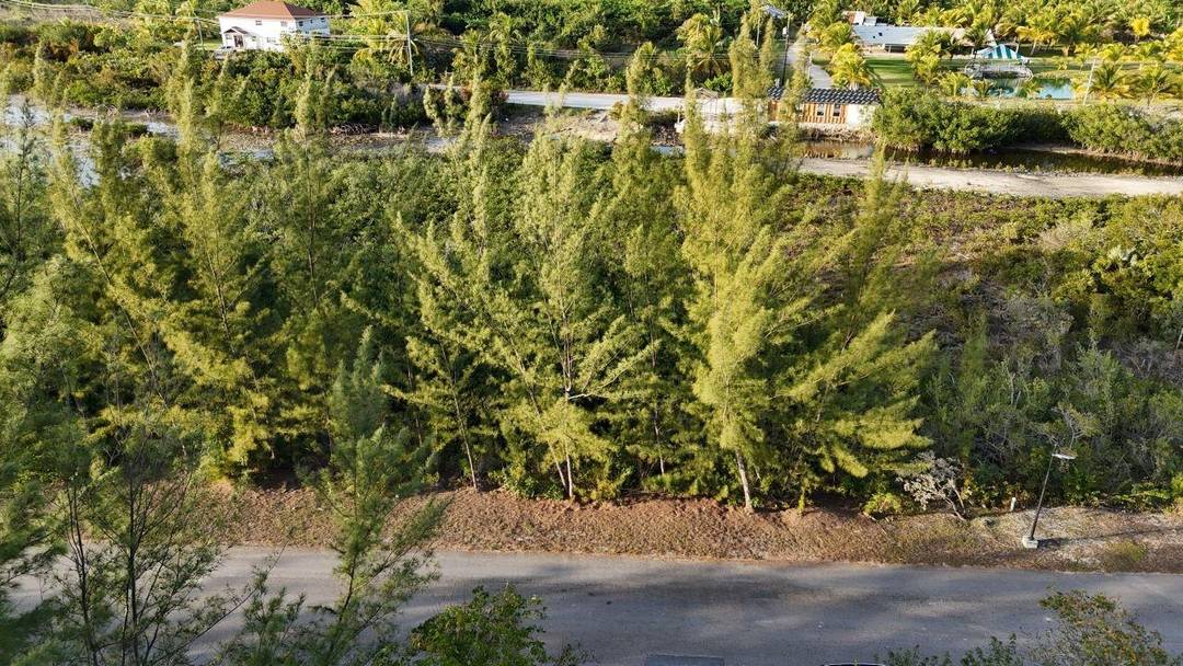 SOUTH SEAS ESTATES Land New-Providence