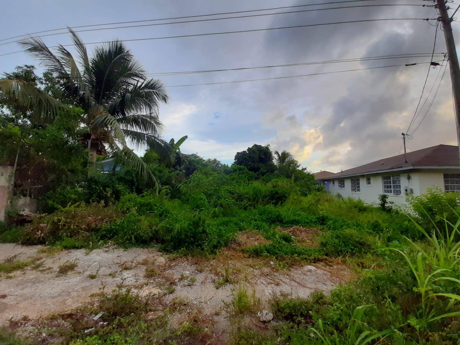 FOX HILL VACANT LOT Land New-Providence