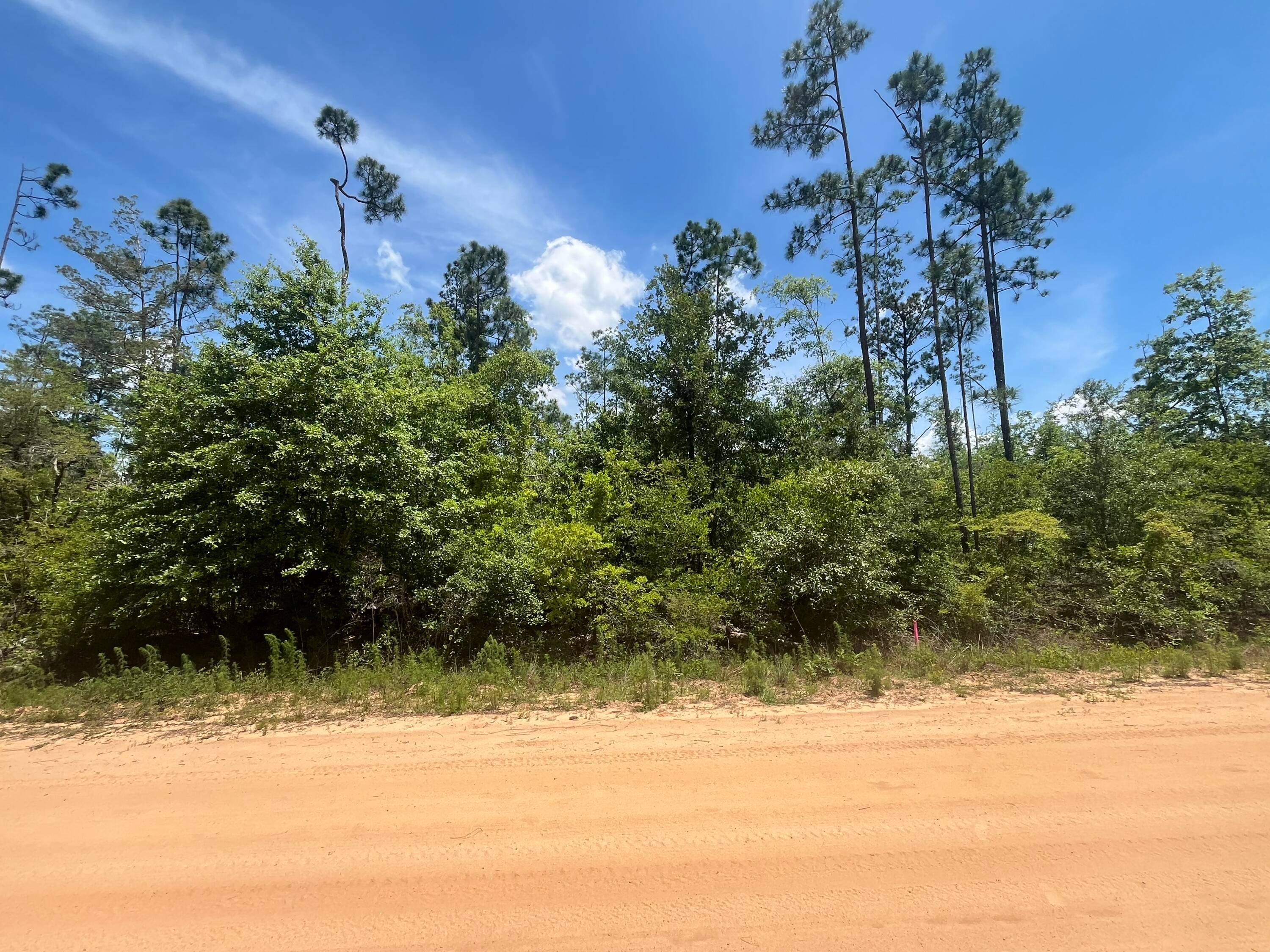 Don't miss out on this wooded 1.