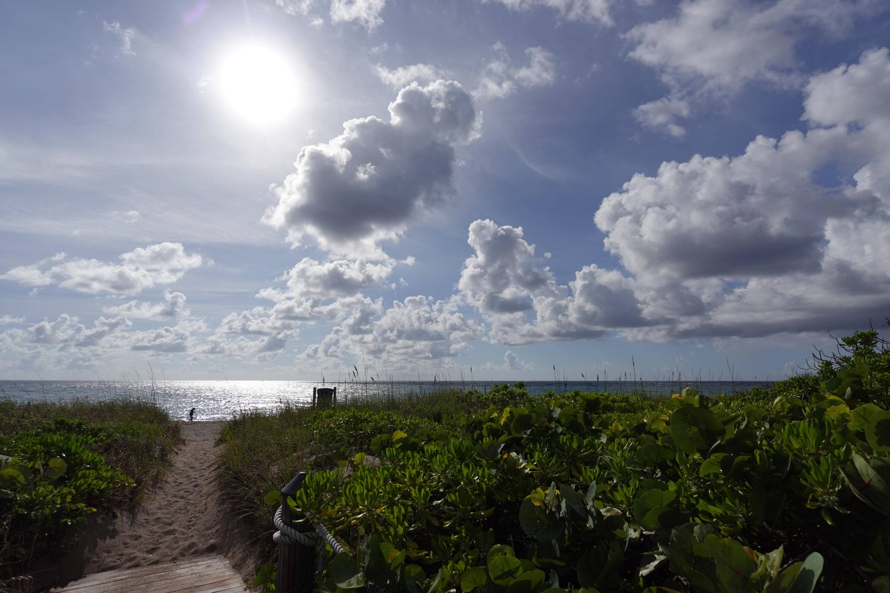 Turnkey 2BR 2BA with ocean views in a boutique Palm Beach Shores building available for the winter season !