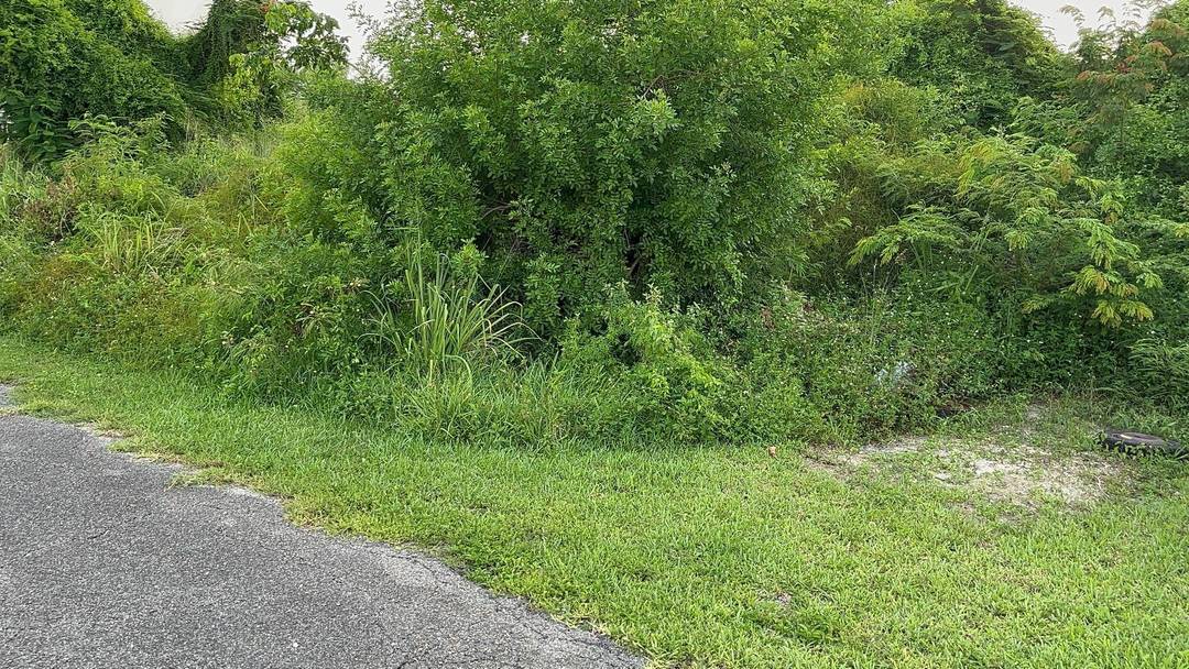 EAST STREET NORTH LOT Land New-Providence