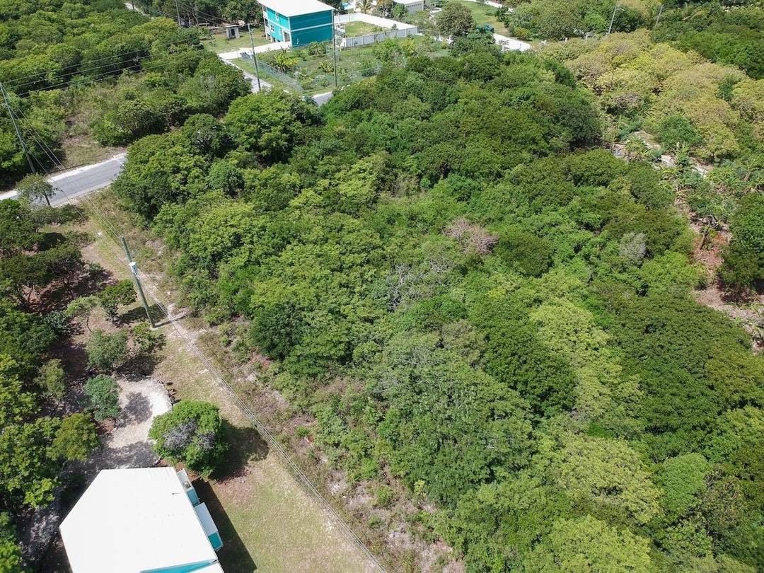 9060 SQ FT VACANT LOT Land Eleuthera