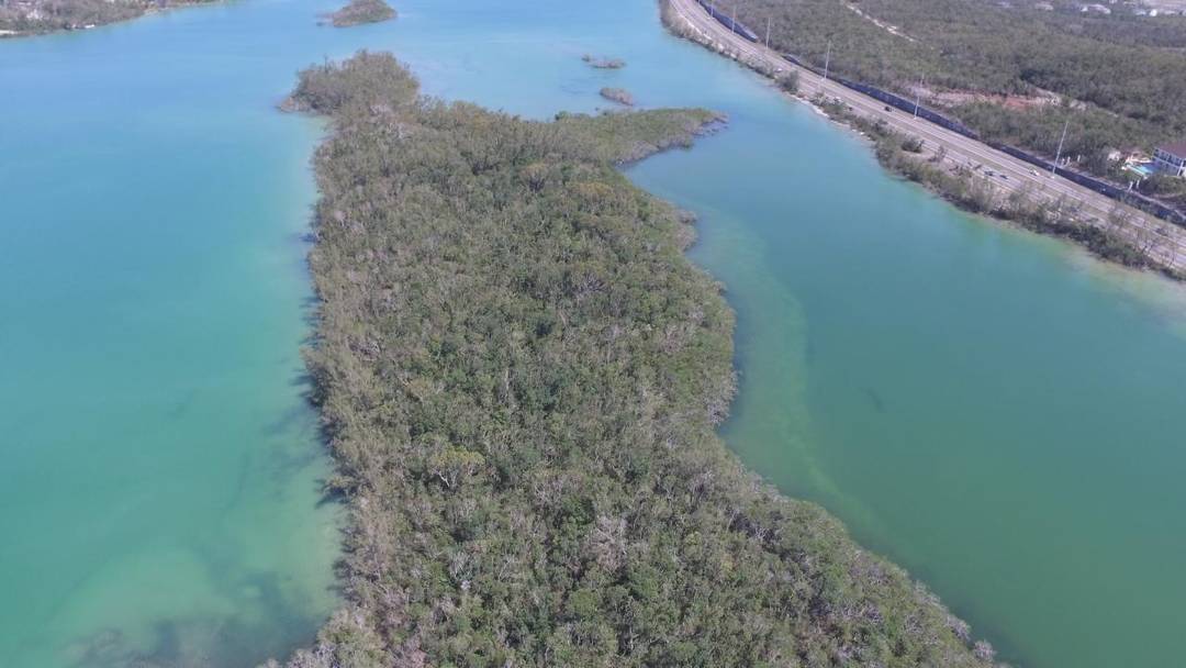 WESTRIDGE DRIVE Land New-Providence