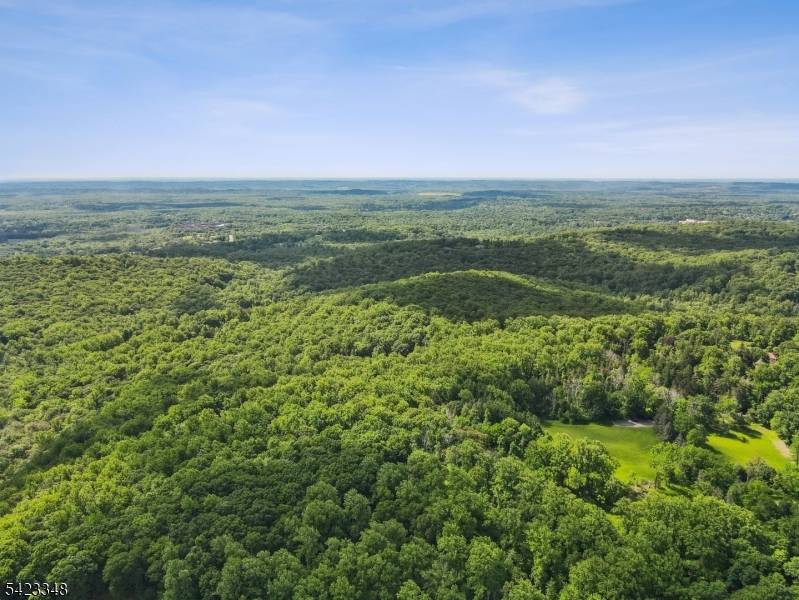 Wonderfully wooded property that embraces the manner of country living.