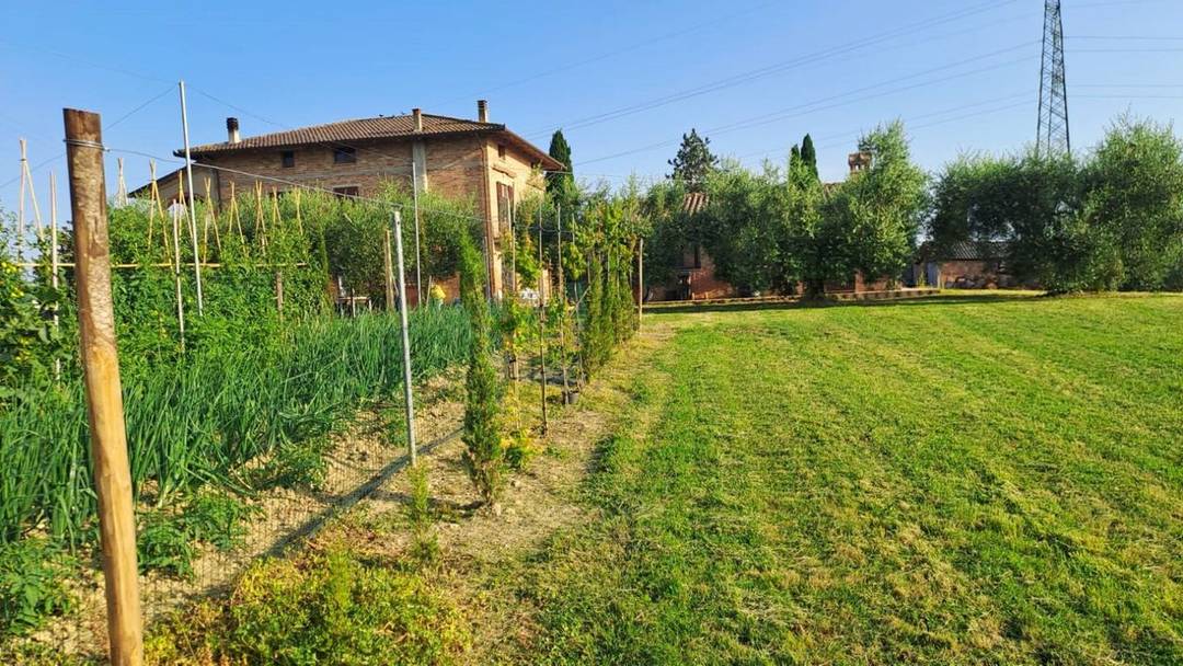 Villa of 300 sqm with annex, stable, olive grove and orchard for sale in Castiglione del Lago, Umbria.