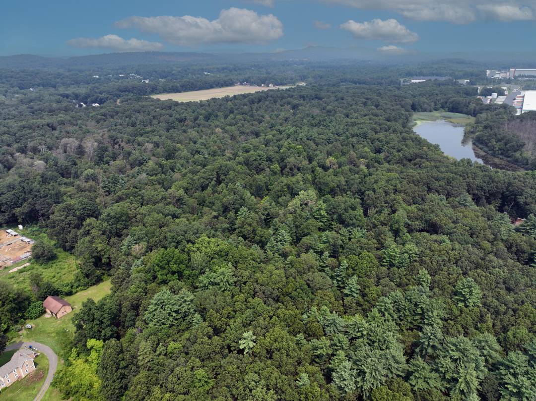 There are two abutting parcels that offer a total of 79 acres.