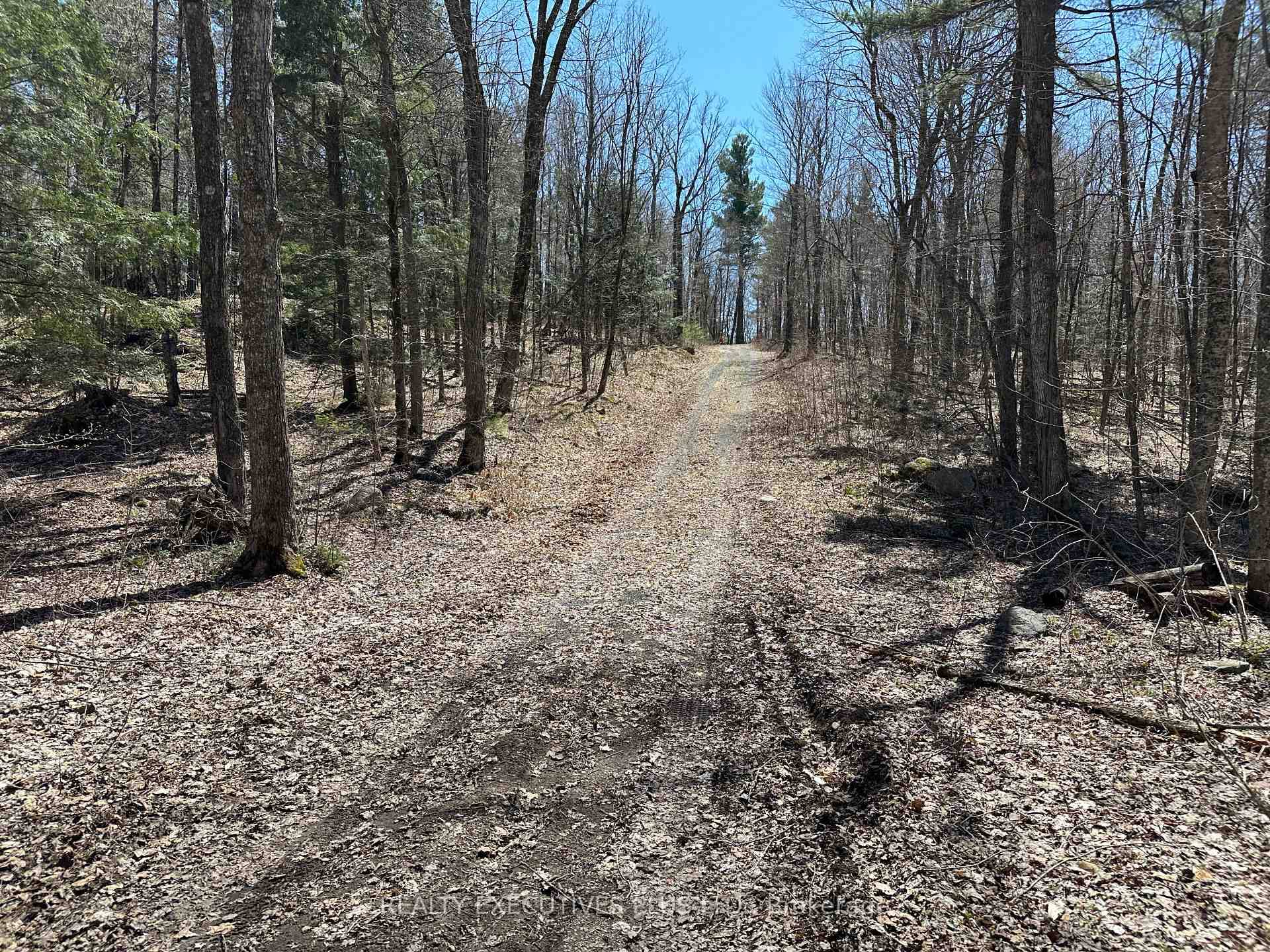 Escape to your secluded sanctuary of 98 acres zoned Limited Service Residential ideal for a Homestead or envoy with the family for endless memories.